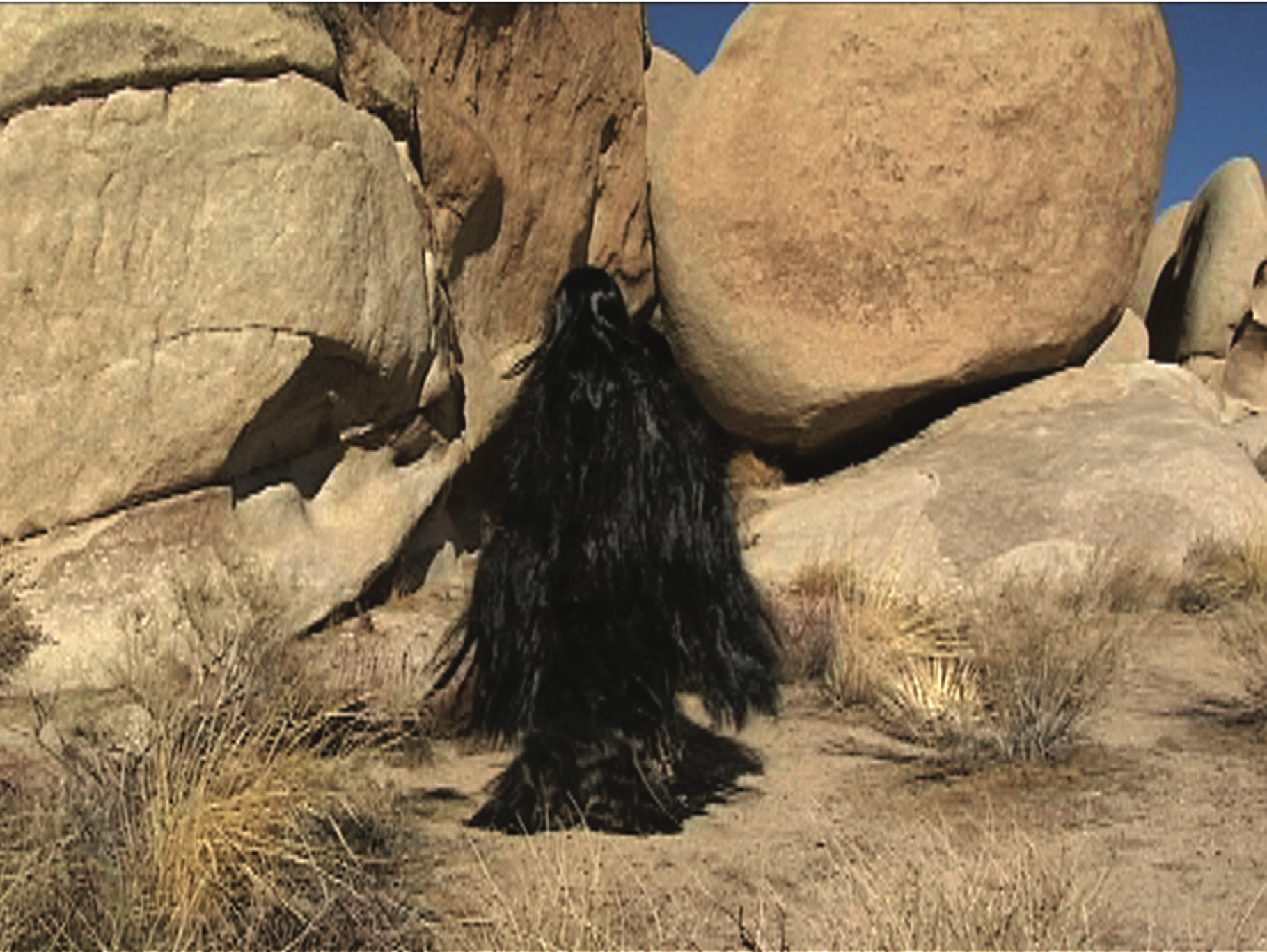 A Preemptive Manuever (2)