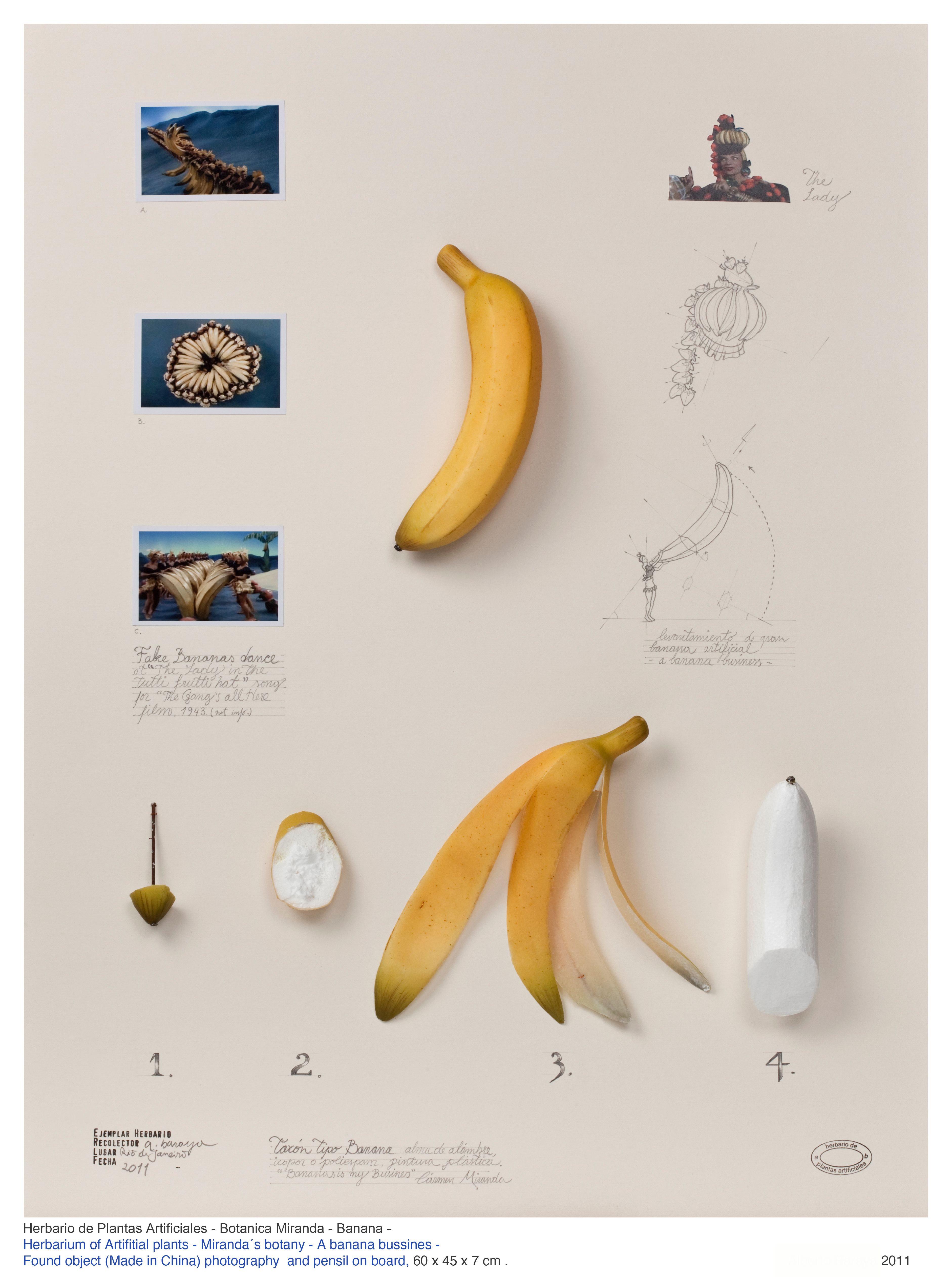 Artwork: Herbario de plantas artificiales