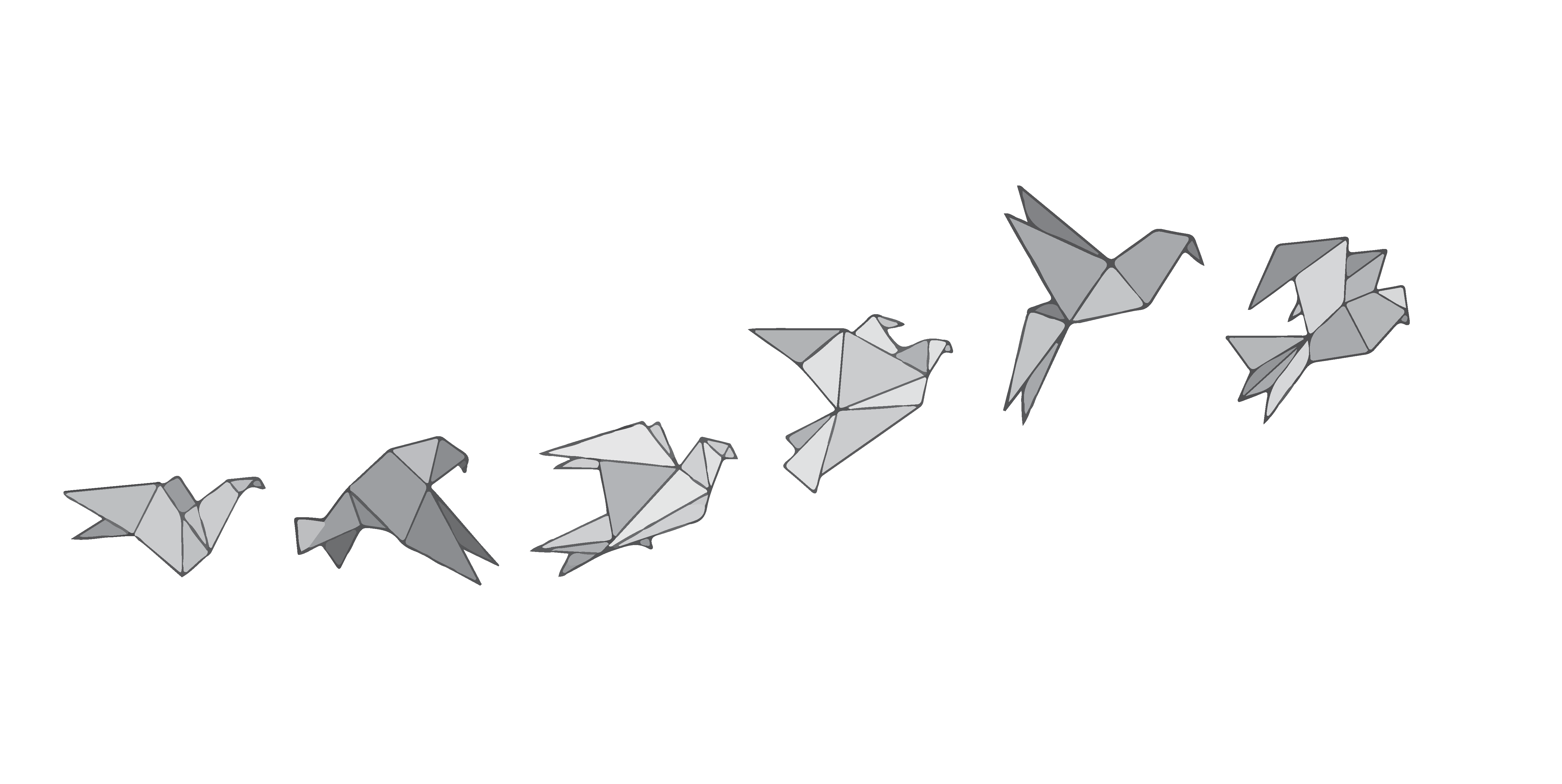 Experiments in Folding Paper