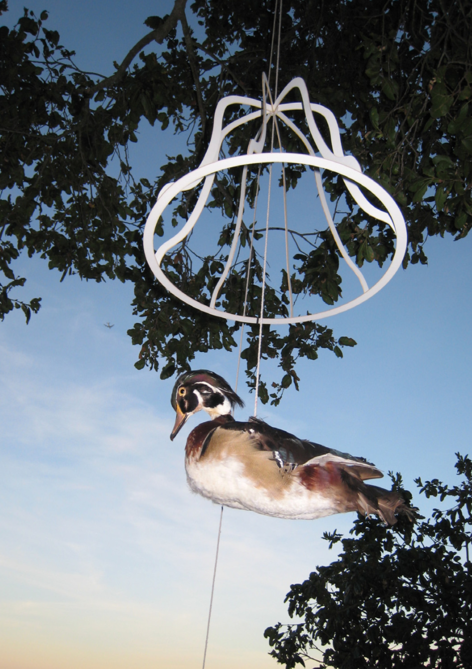 Artwork: No one steers the bird