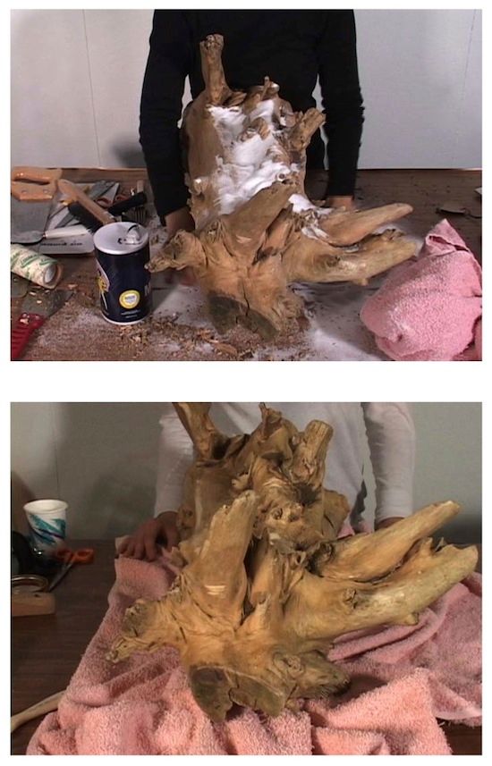 Artwork: Stills from Whitetail Deer, A to Z (Part One)