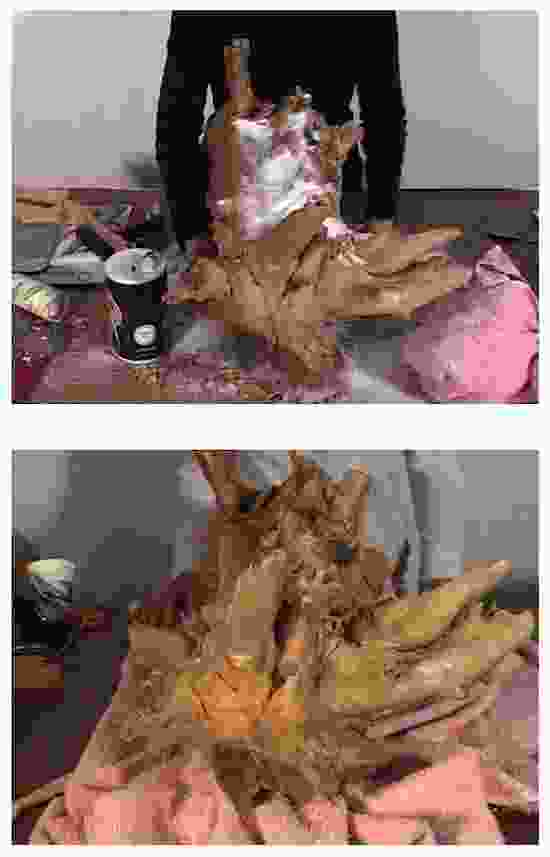 Stills from Whitetail Deer, A to Z (Part One)