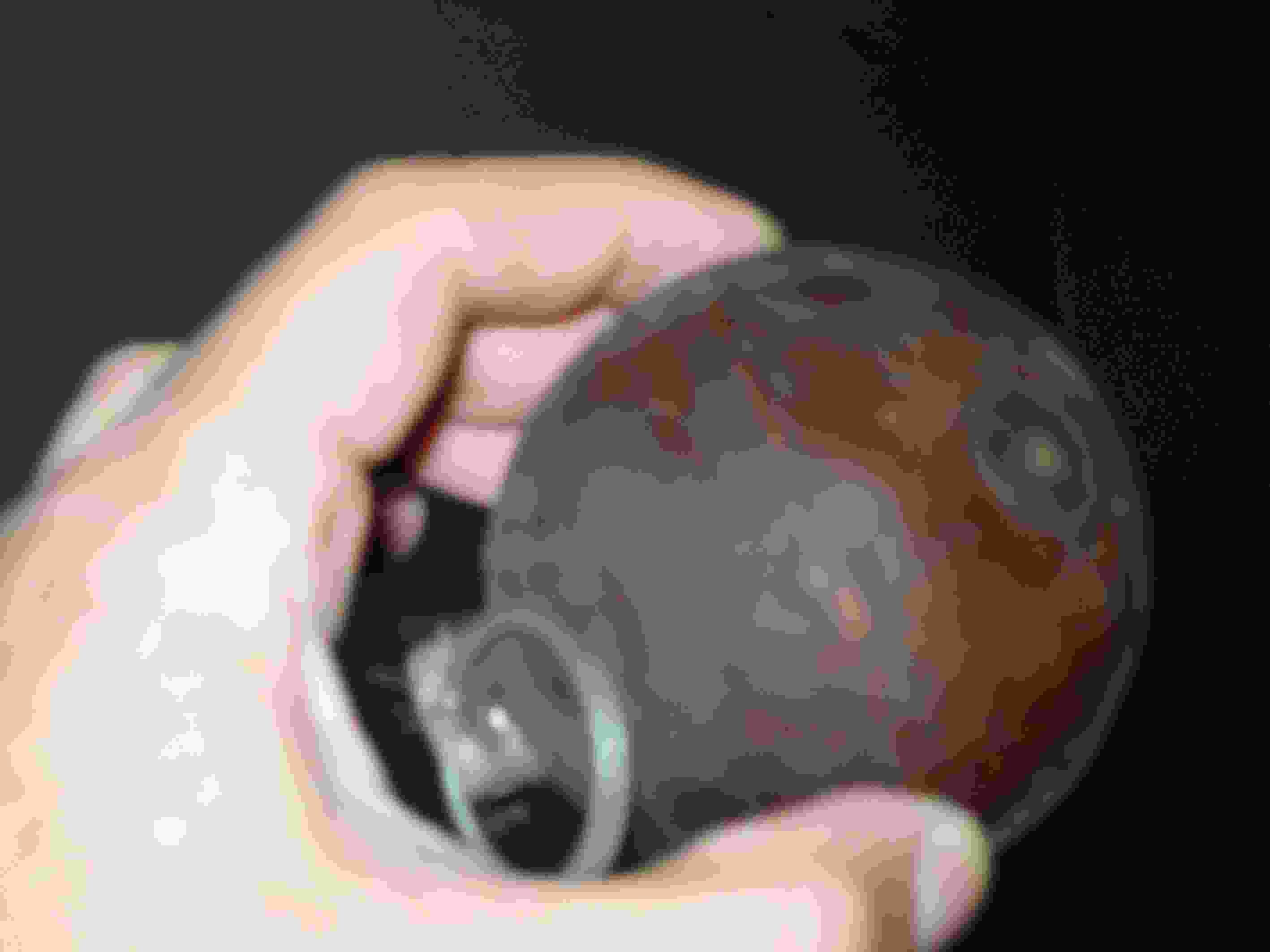 I might die before I get a rifle_Device VI, 1993/2002