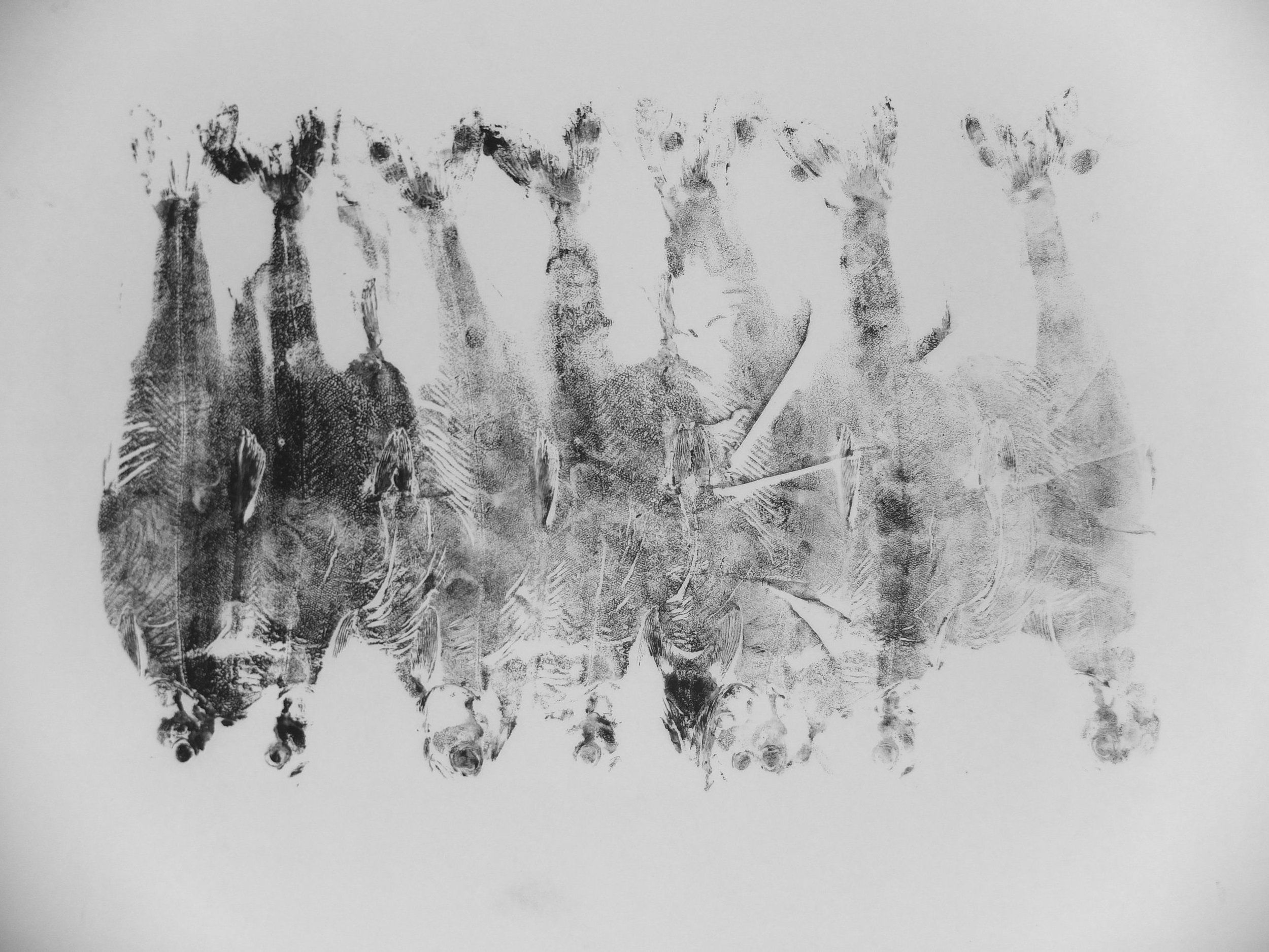 Artwork: Fisk & Kull