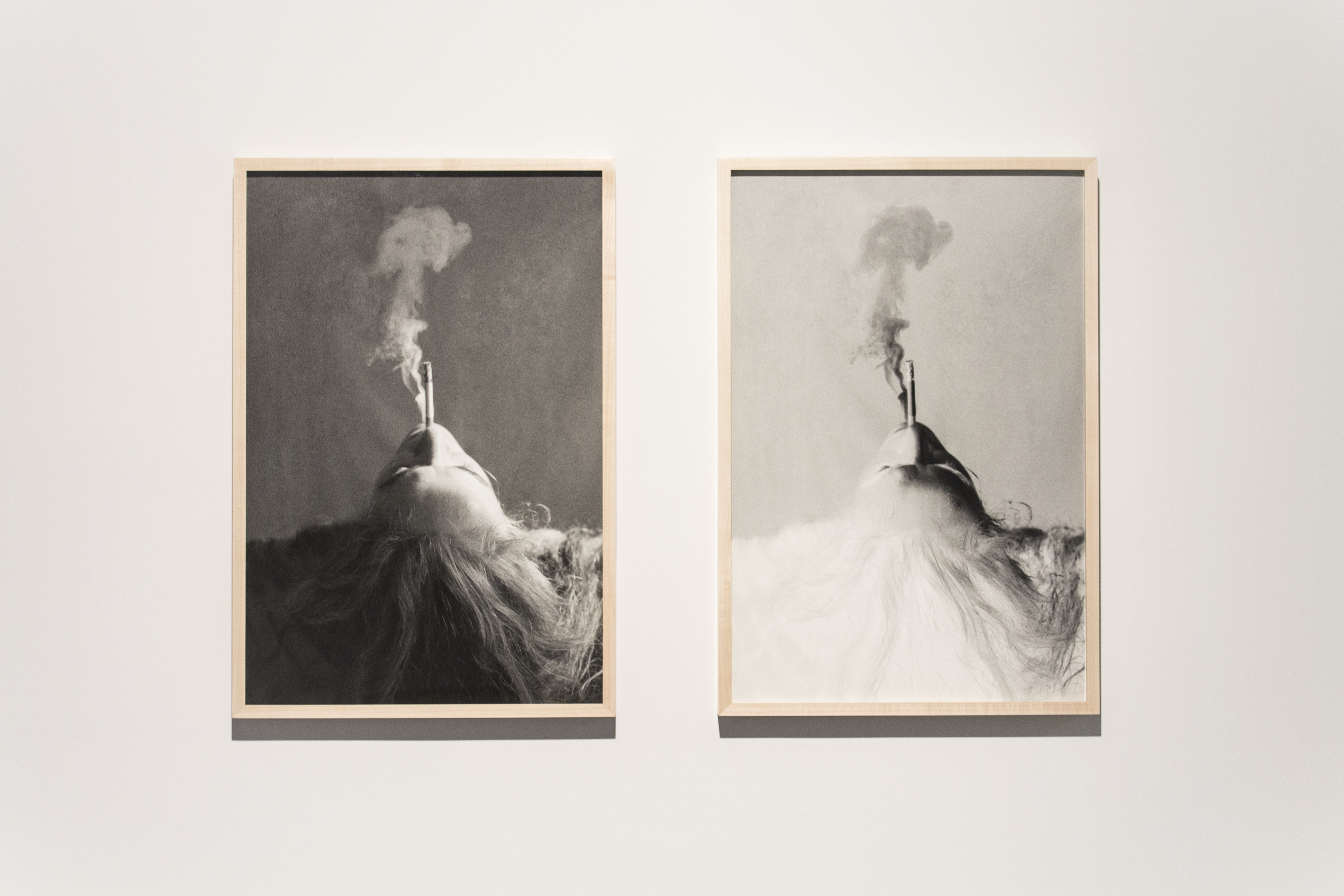 Artwork: Fumee (Diptych)
