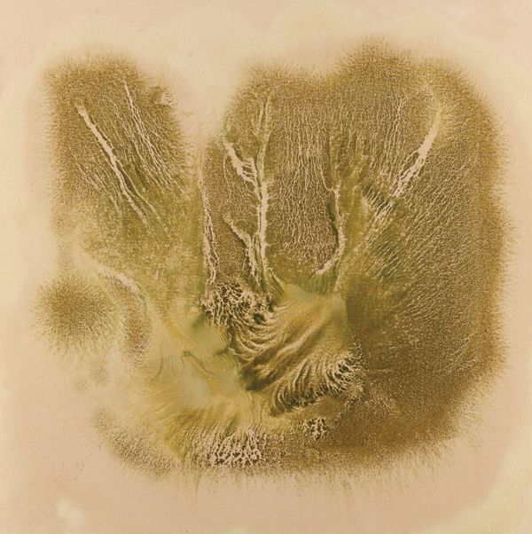 Artwork: Untitled (Aromatherapy Painting)