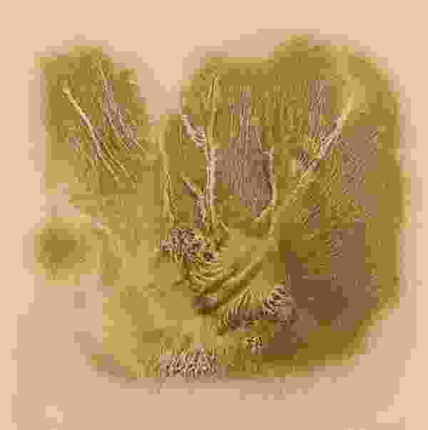 Untitled (Aromatherapy Painting)