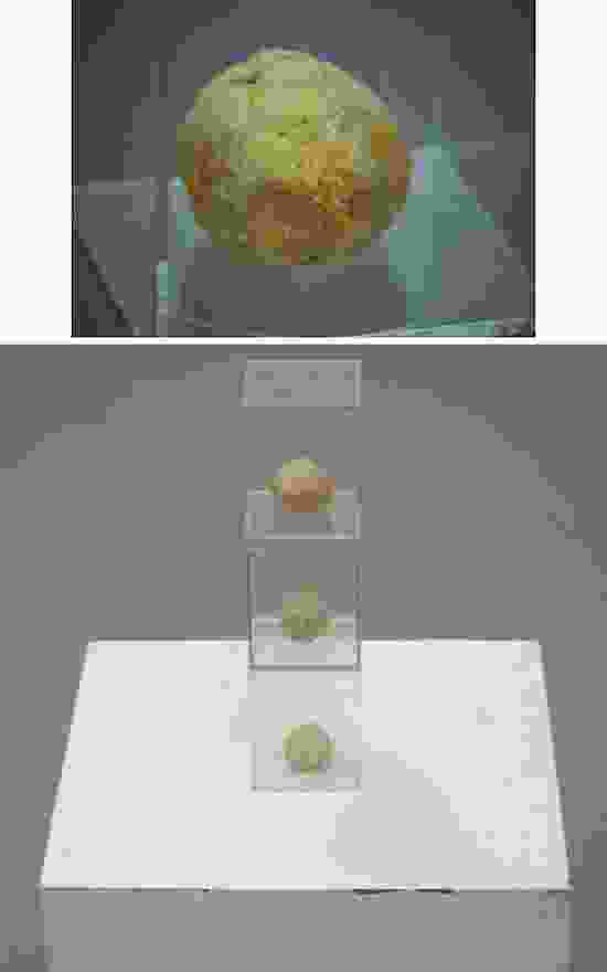 Attempts at Making Wheatpaste