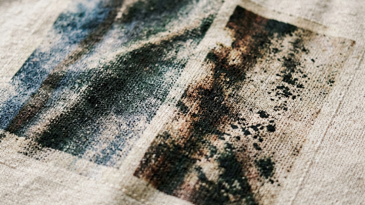 Screen Print vs DTG Print Tee: Which Lasts Longer and Looks Better?
