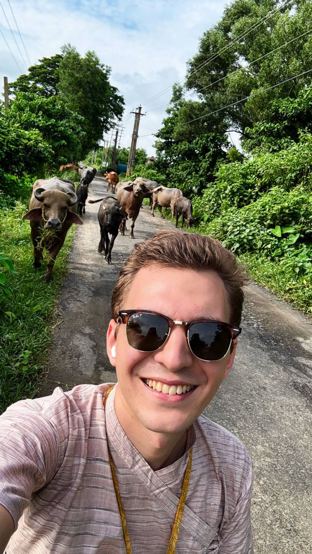 Author with water buffaloes on a rural road in Mayapur