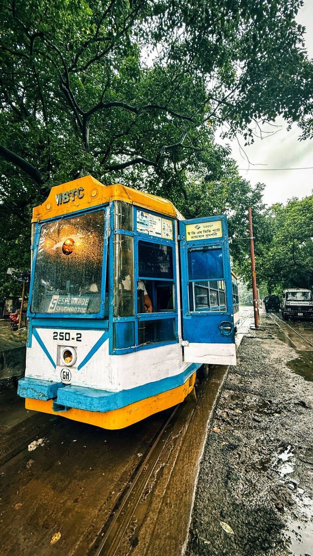 Blue and yellow Kolkata tram on a rainy day