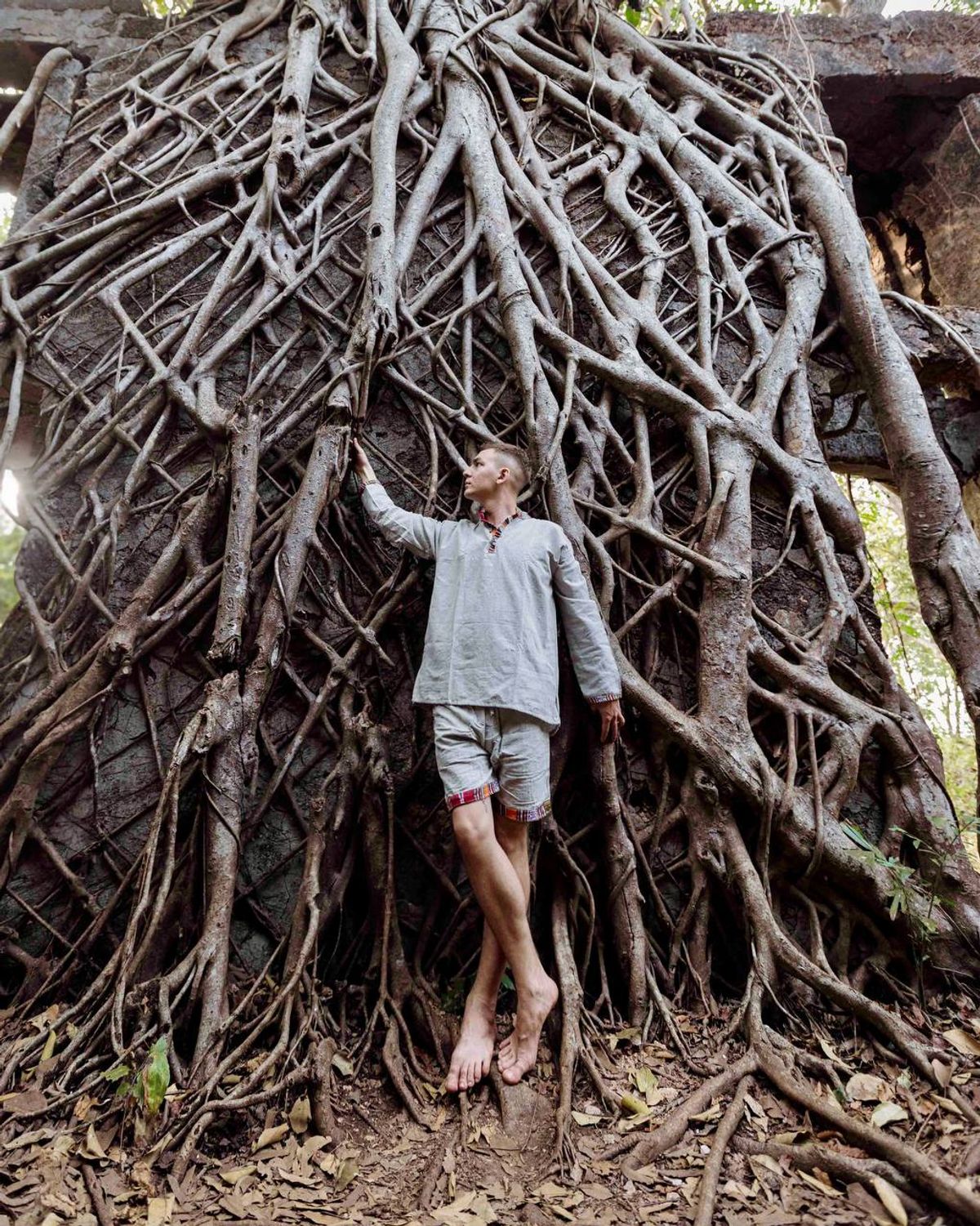 Standing among massive banyan strangler roots