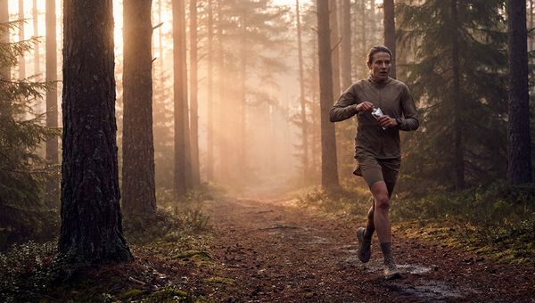 Distance runner on a misty forest trail at dawn, taking a gel mid-stride, with warm golden-hour light filtering through pine trees — illustrating practical gut training during long sessions.
