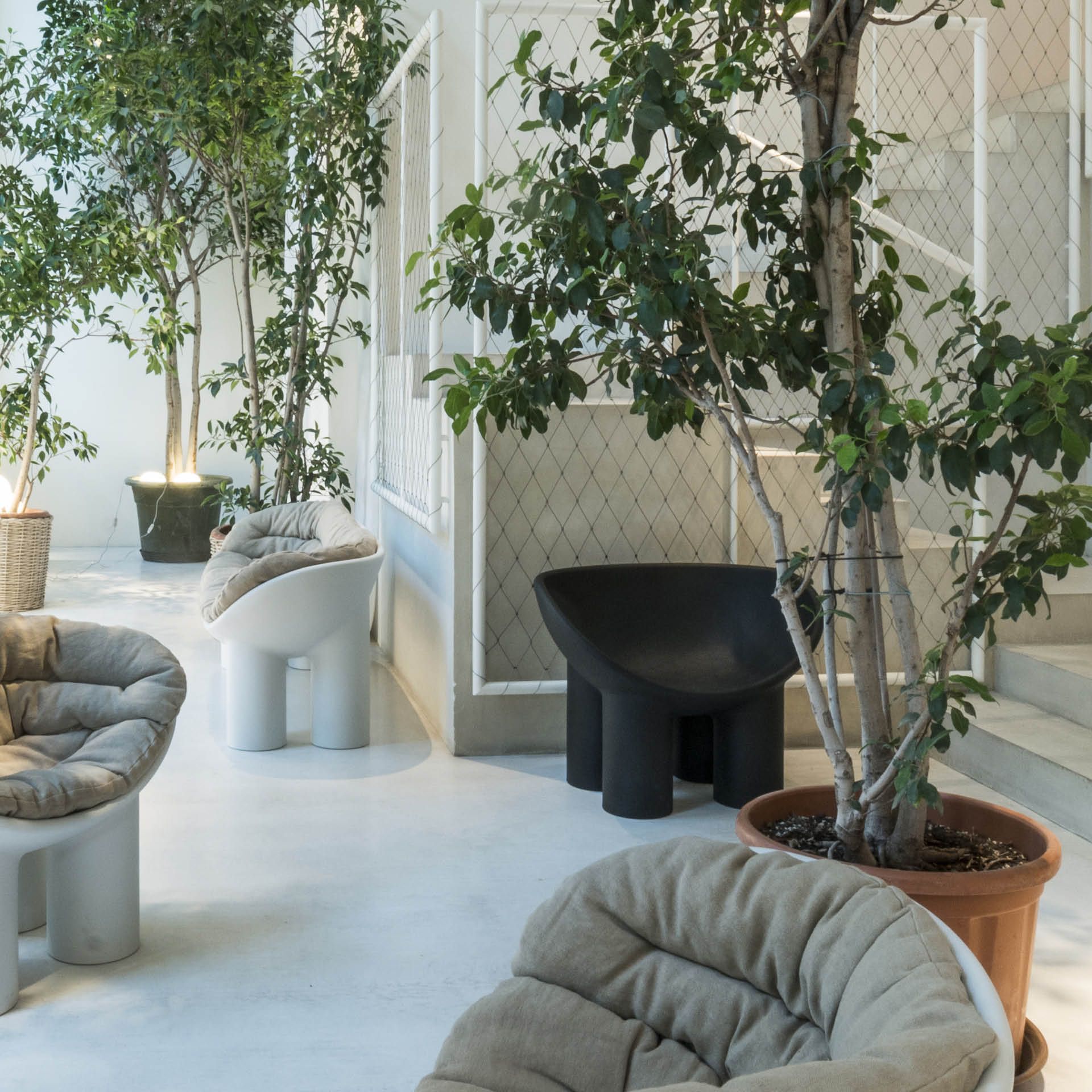 driade faye toogood rolo poly chair sofa