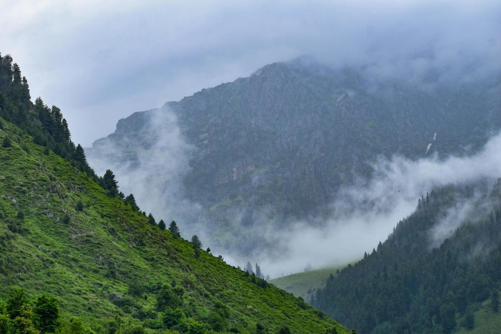 Green mountainside and pine forest in a misty valley, with low cloud drifting over the peaks.