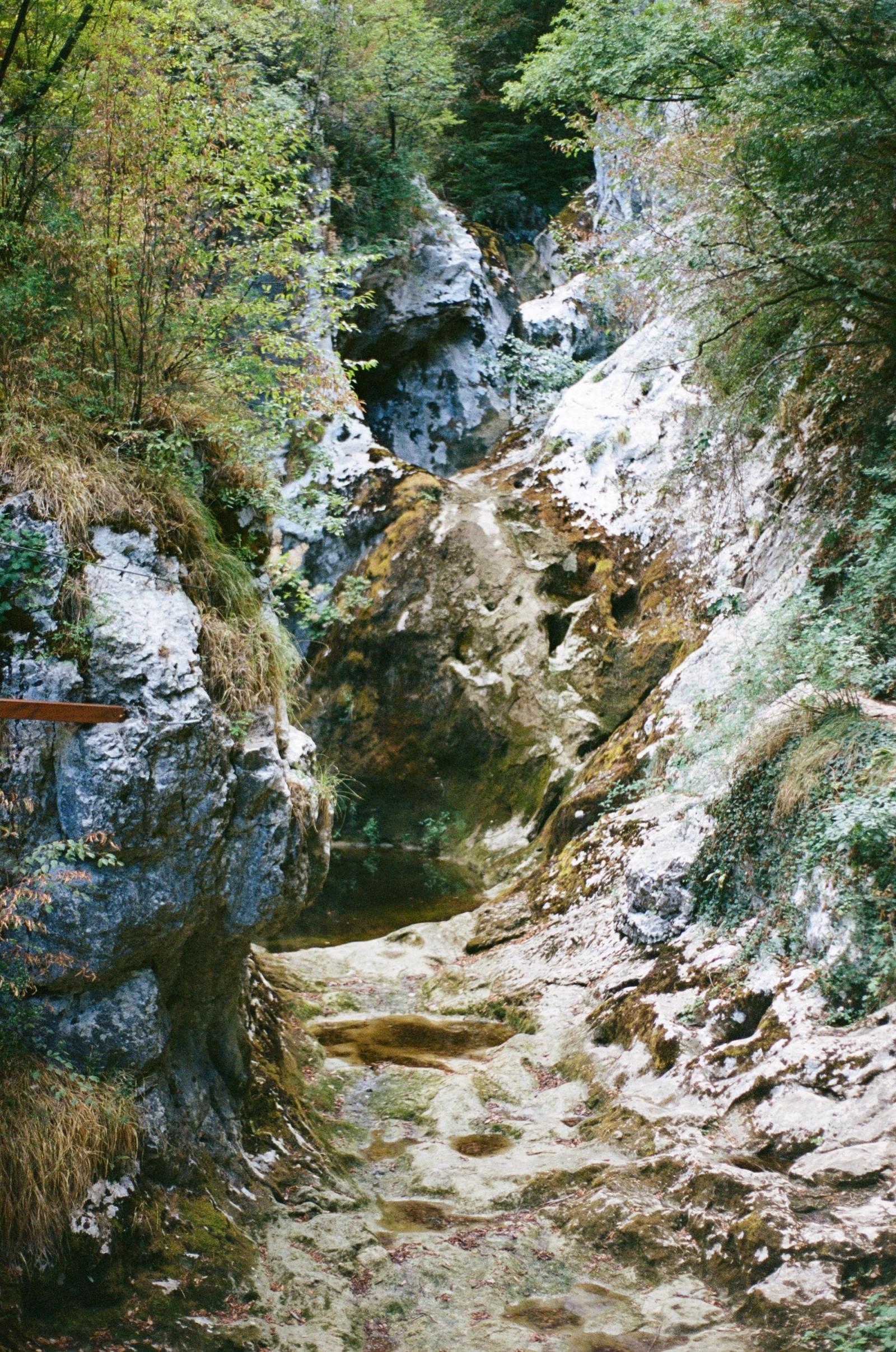 A narrow rocky gorge with a dry limestone riverbed, steep walls and trees along the edges.
