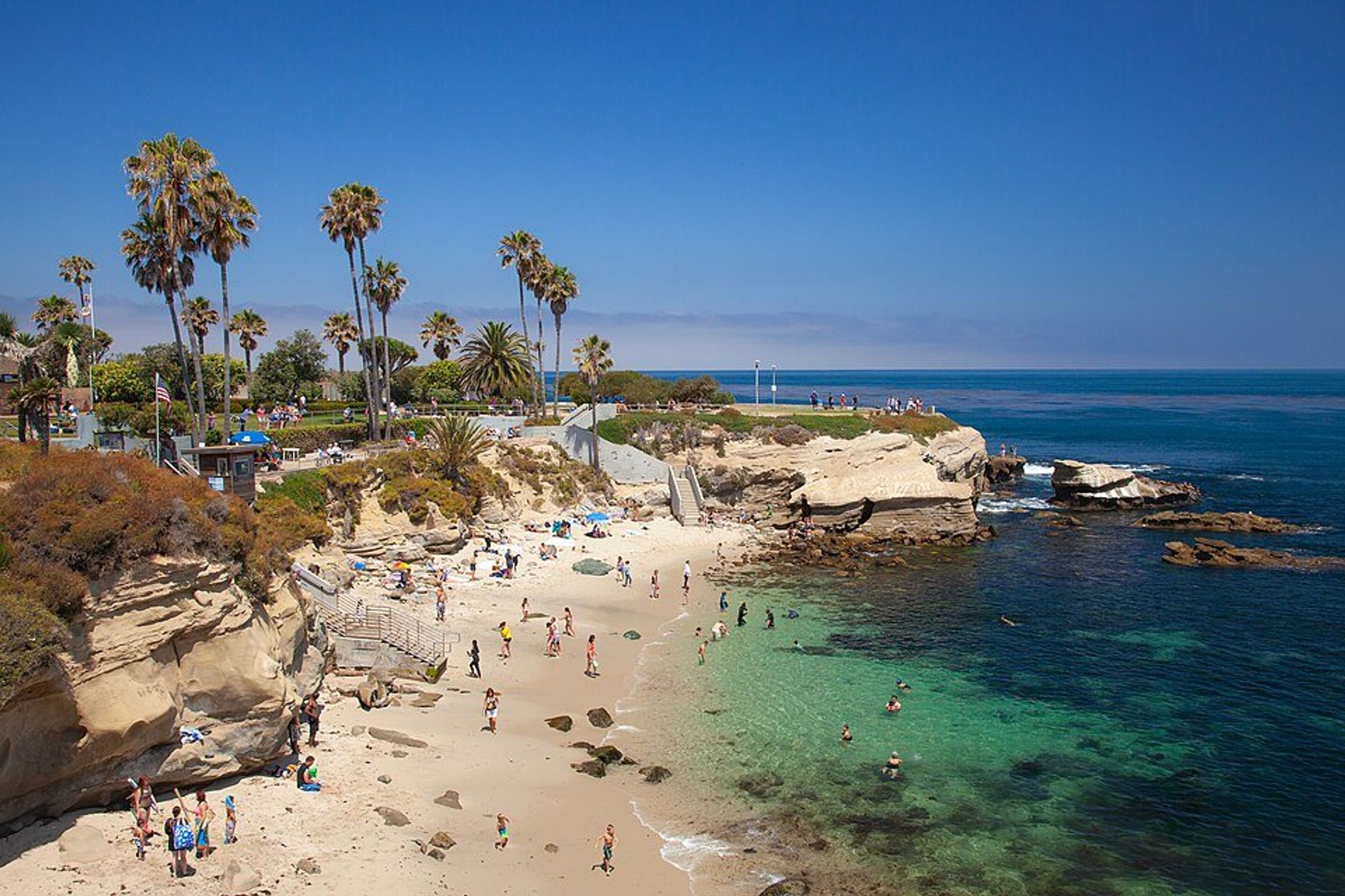 Aerial view of a cove with palm trees, sandstone cliffs, a crowded beach and turquoise water in La Jolla, San Diego.