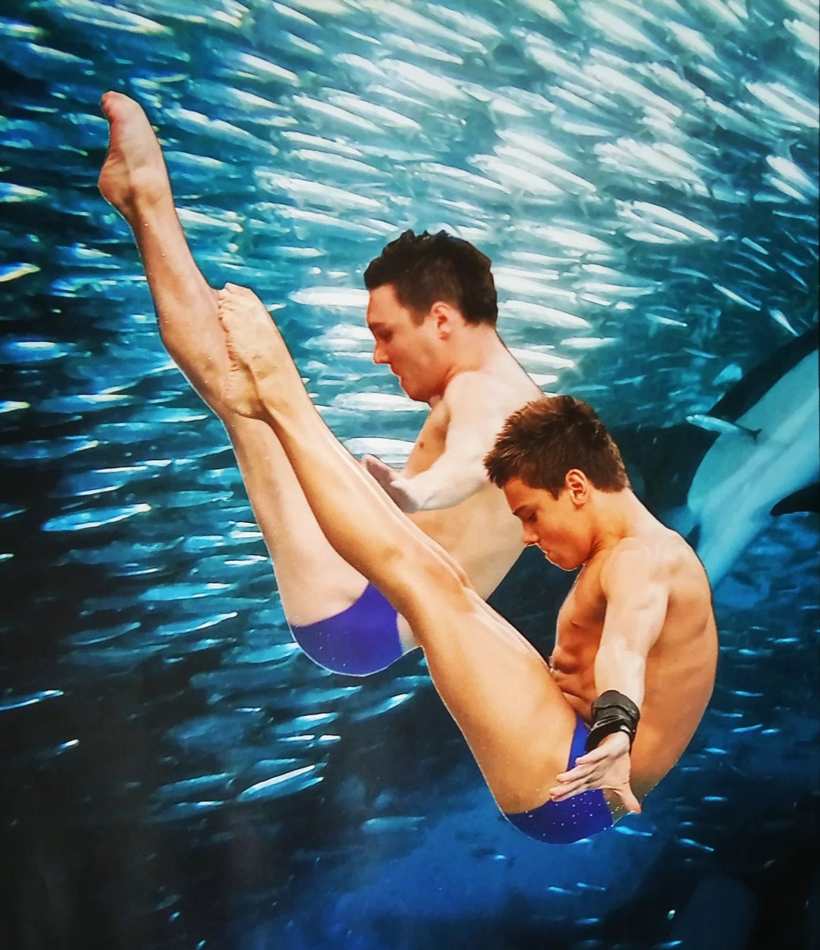 Collage of two divers tumbling underwater through a shoal of silver fish.