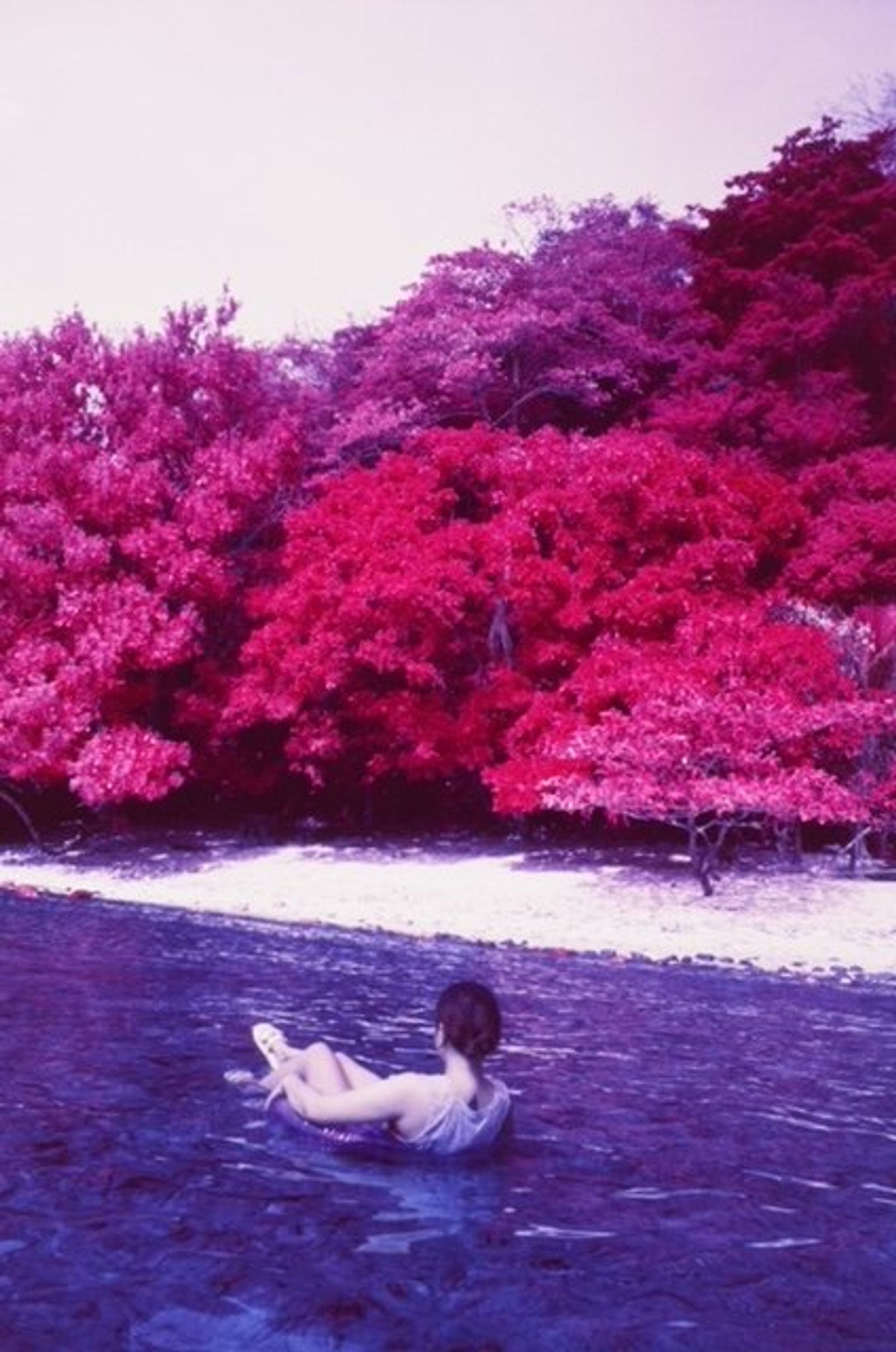 A person floats on an inner tube in a river, backed by a bank of bright red-pink foliage.