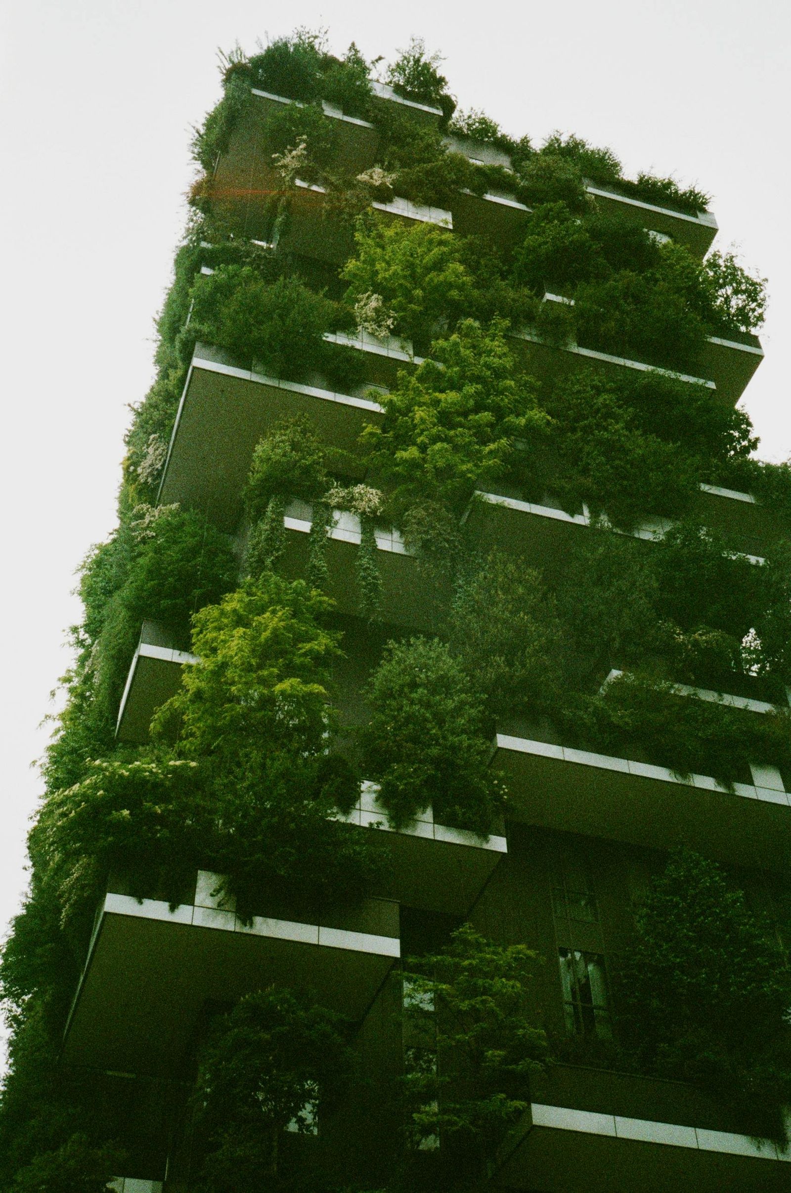 A tall residential tower with trees and plants growing on every balcony, seen from below against a pale sky.