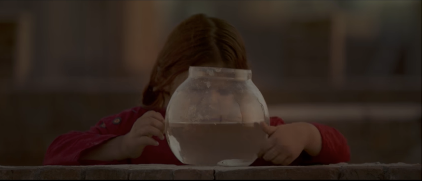 Still from The Round Lake