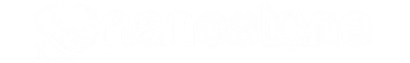 Nanostone icon