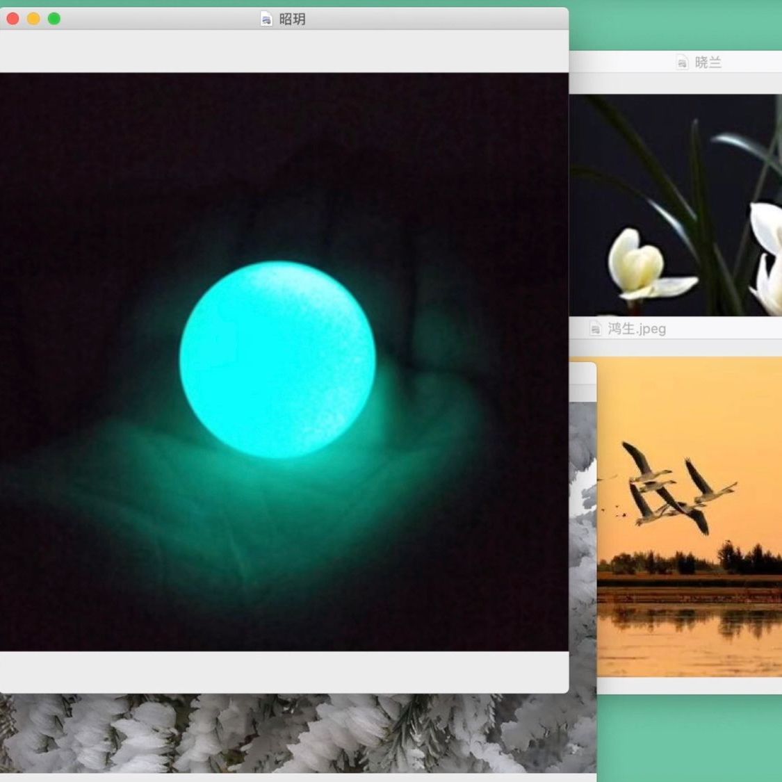 Multiple windows on a computer screen against a green background. Images: a knife and sheath, a green glowing orb, birds, flowers