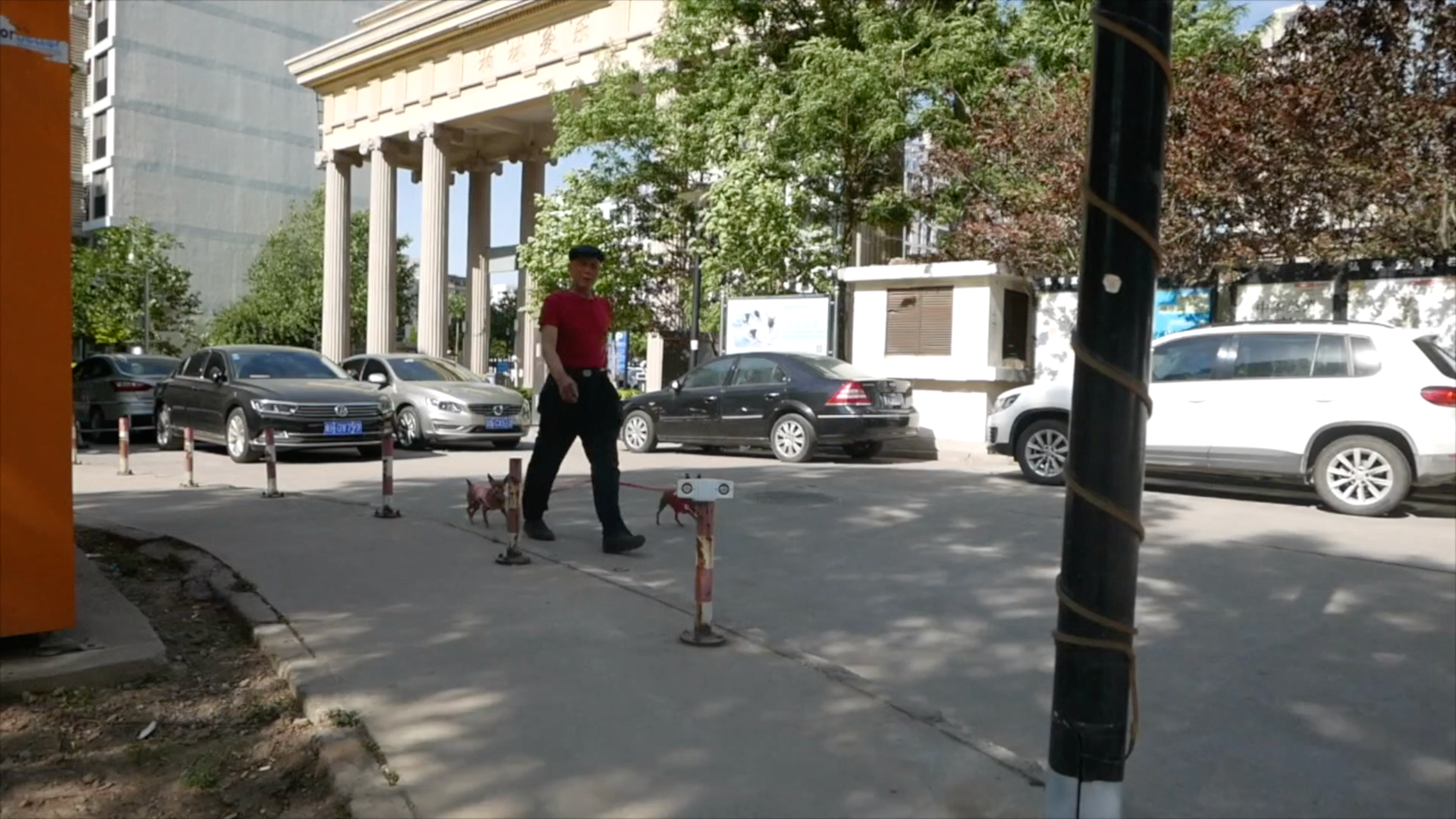 A man walks on the street with two dogs