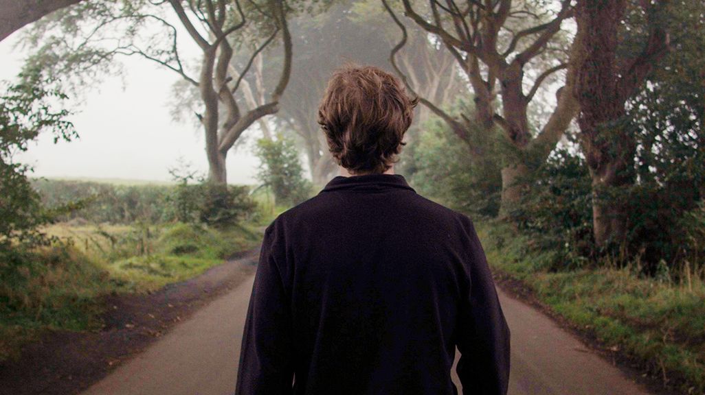 Back view of a man standing on a road lined with twisting trees