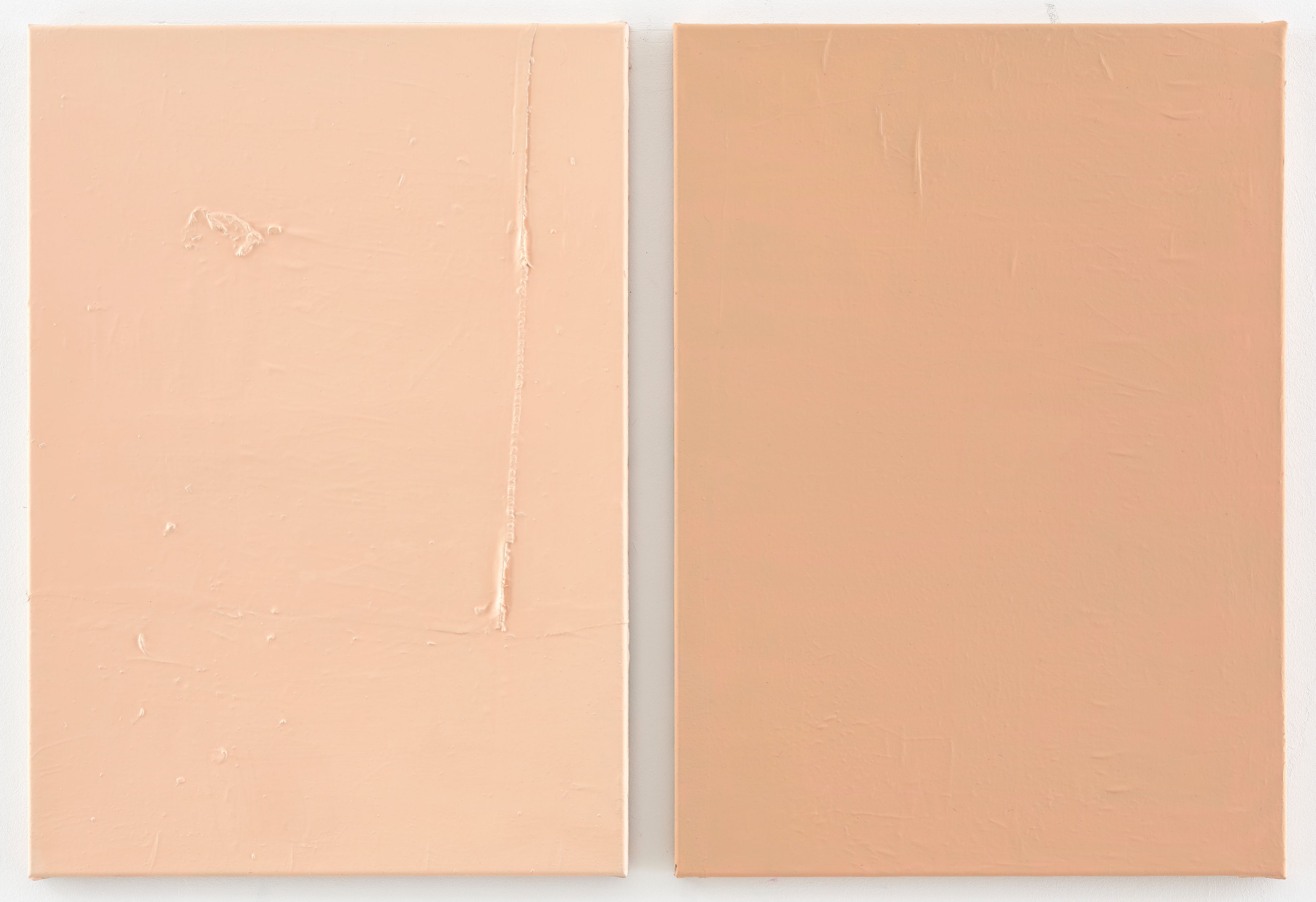 Two rectangular canvases in different light-skinned flesh tones.