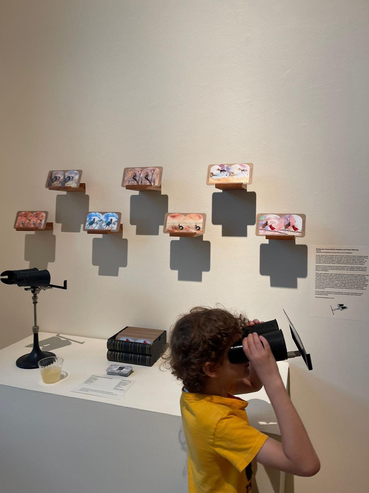 A child looks through a stereoscope.