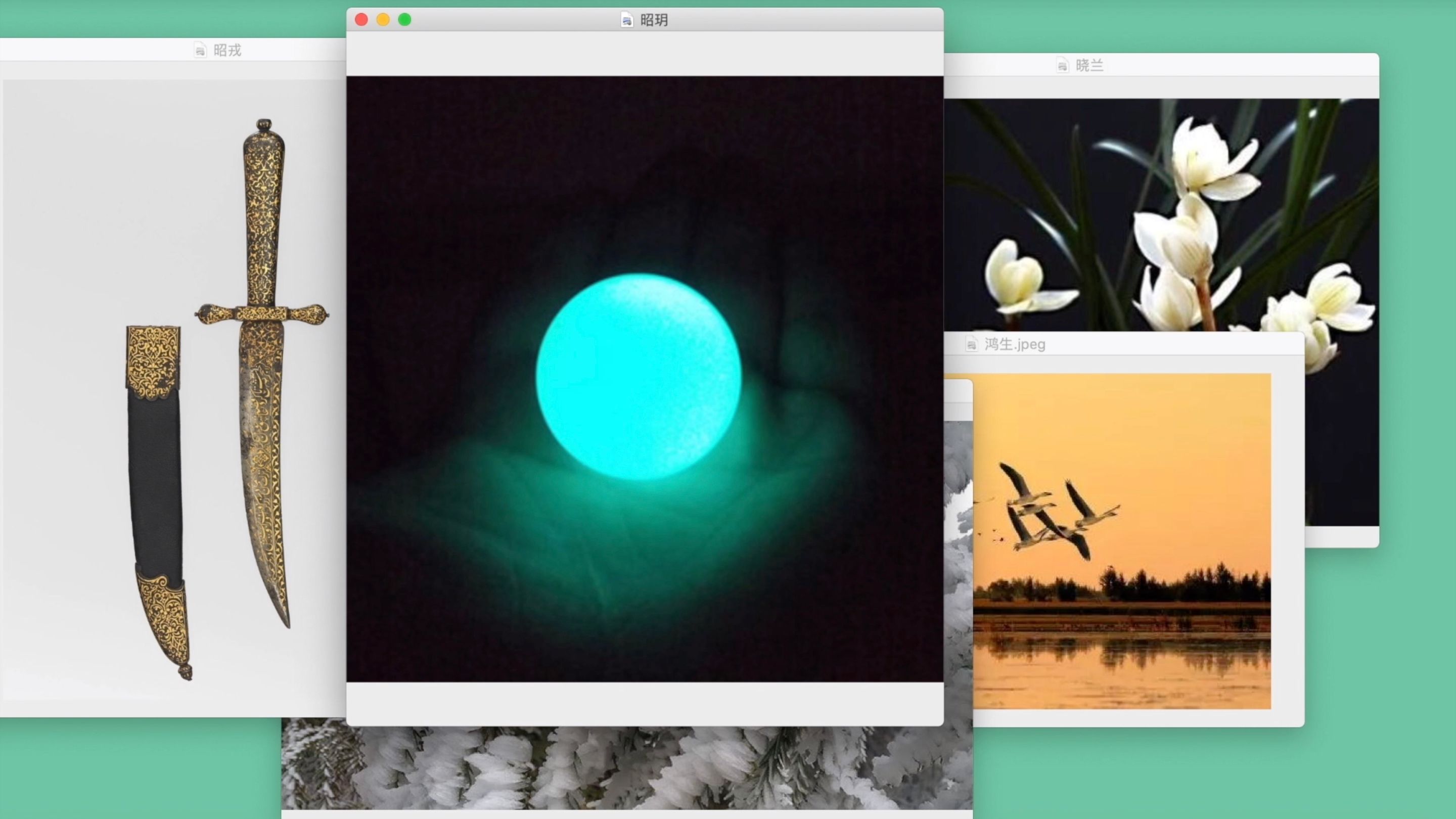 Multiple windows on a computer screen against a green background. Images: a knife and sheath, a green glowing orb, birds, flowers