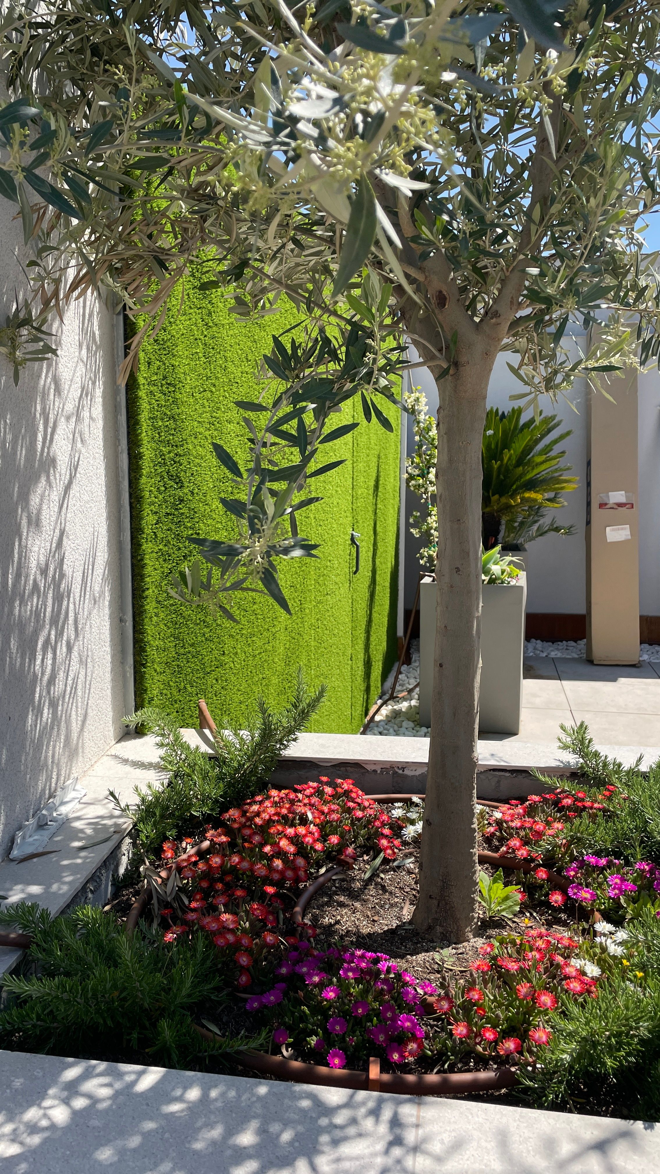 Fdez de los Rios 104 - Imagen 6