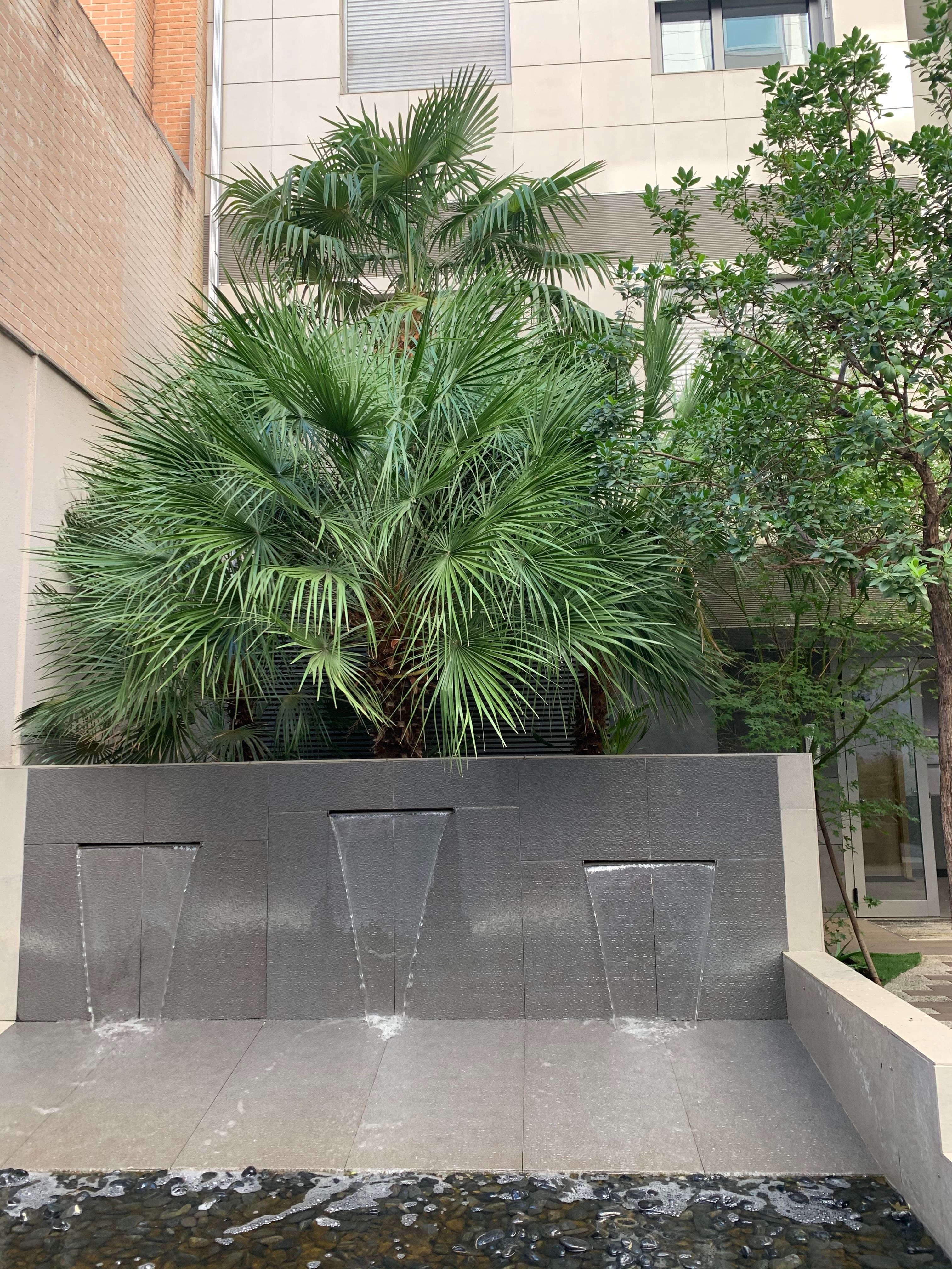 Infanta Mercedes 5 - Imagen 22