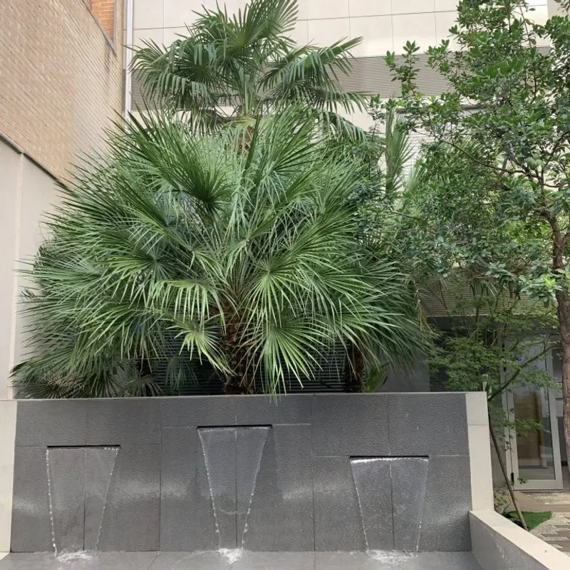 Infanta Mercedes 5 - Imagen 3