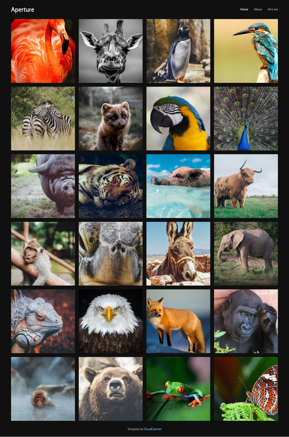 Aperture screenshot | ATemplate.com