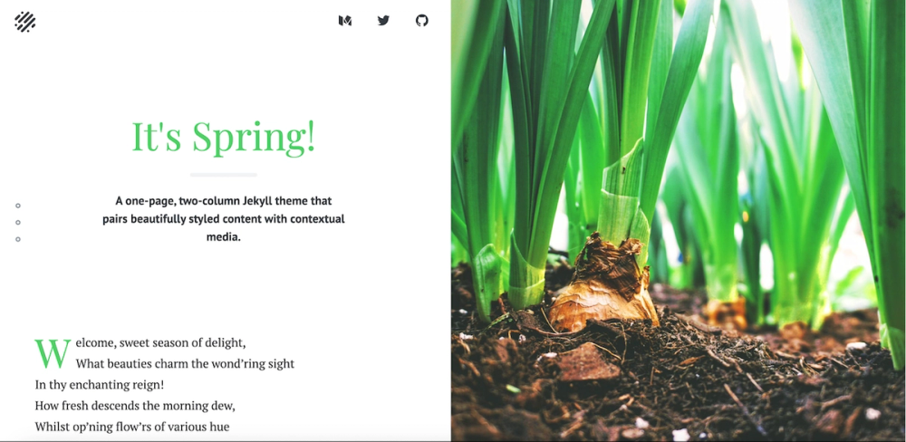 image of Spring