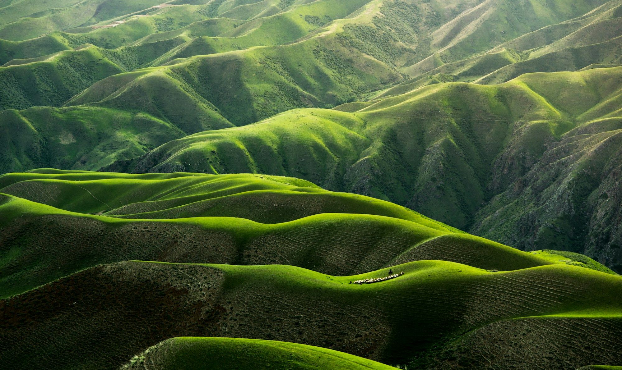 Rolling green hills under a dramatic storm sky