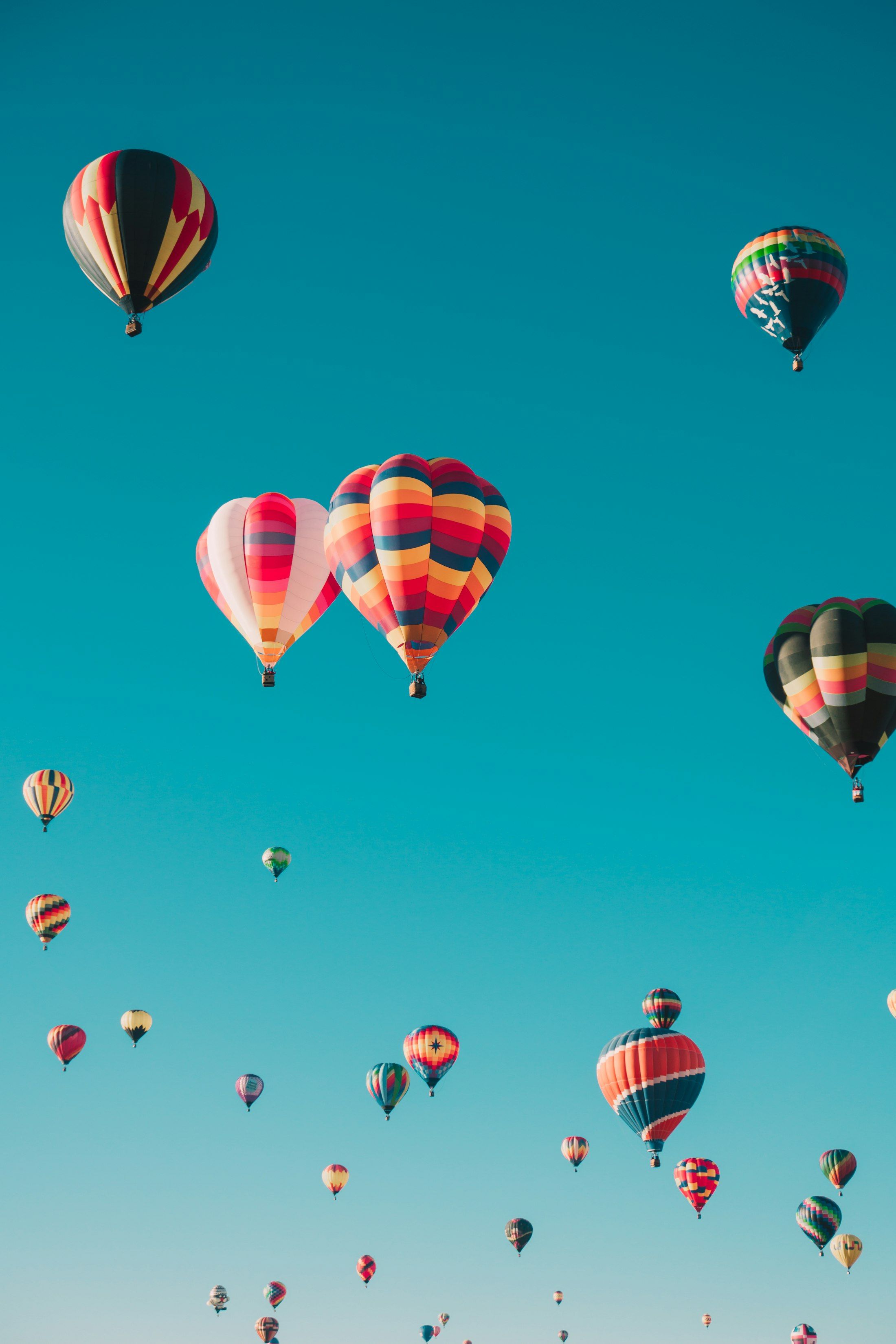 Hot air balloons rising into a clear blue sky