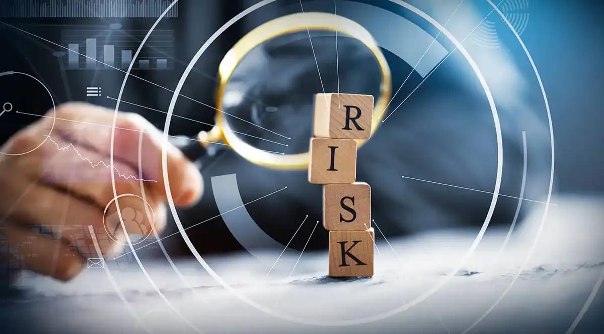 Risk & Issue Management