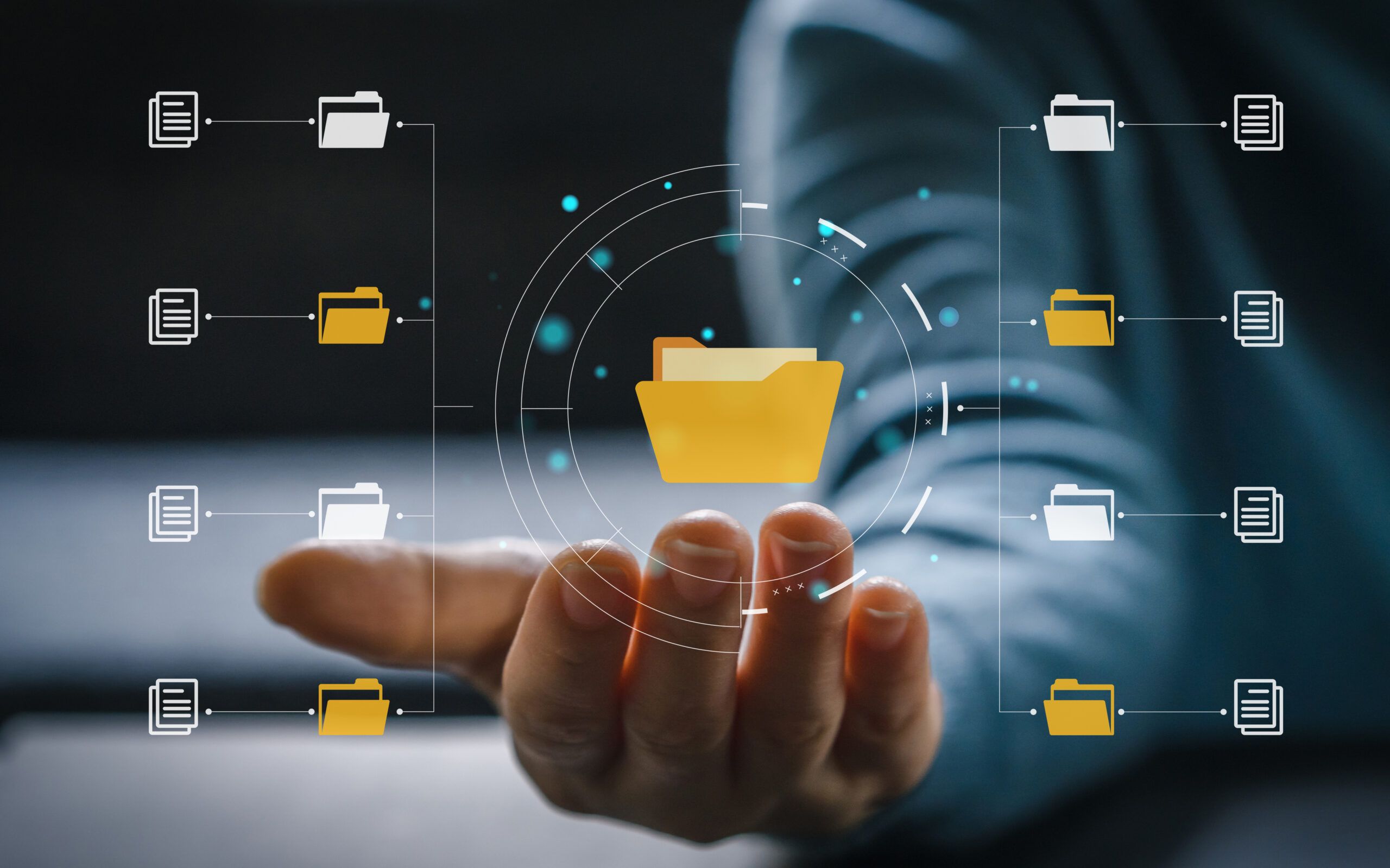 Document Management System (iDocs)