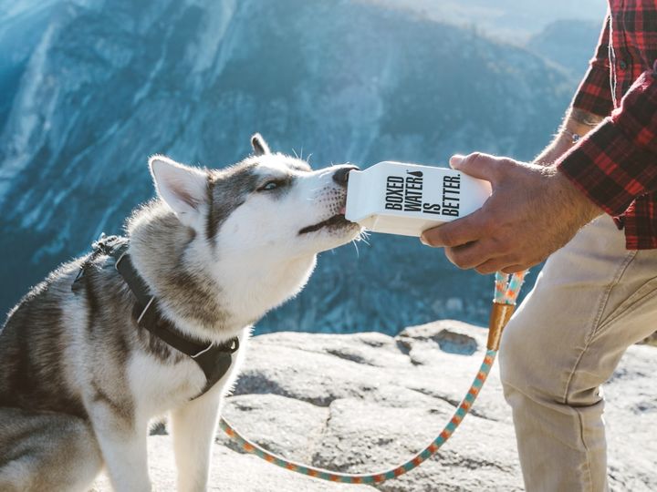 Voyage​​​​‌﻿‍﻿​‍​‍‌‍﻿﻿‌﻿​‍‌‍‍‌‌‍‌﻿‌‍‍‌‌‍﻿‍​‍​‍​﻿‍‍​‍​‍‌﻿​﻿‌‍​‌‌‍﻿‍‌‍‍‌‌﻿‌​‌﻿‍‌​‍﻿‍‌‍‍‌‌‍﻿﻿​‍​‍​‍﻿​​‍​‍‌‍‍​‌﻿​‍‌‍‌‌‌‍‌‍​‍​‍​﻿‍‍​‍​‍​‍﻿﻿‌﻿​﻿‌﻿‌​‌﻿‌‌‌‍‌​‌‍‍‌‌‍﻿﻿​‍﻿﻿‌‍‍‌‌‍﻿‍‌﻿‌​‌‍‌‌‌‍﻿‍‌﻿‌​​‍﻿﻿‌‍‌‌‌‍‌​‌‍‍‌‌﻿‌​​‍﻿﻿‌‍﻿‌‌‍﻿﻿‌‍‌​‌‍‌‌​﻿﻿‌‌﻿​​‌﻿​‍‌‍‌‌‌﻿​﻿‌‍‌‌‌‍﻿‍‌﻿‌​‌‍​‌‌﻿‌​‌‍‍‌‌‍﻿﻿‌‍﻿‍​﻿‍﻿‌‍‍‌‌‍‌​​﻿﻿‌​﻿​‌​﻿​​‌‍​‌​﻿​‍‌‍‌‍‌‍​﻿​﻿‍​‌‍​‌​‍﻿‌‌‍‌‌​﻿‌﻿‌‍‌​‌‍​﻿​‍﻿‌​﻿‌​​﻿​﻿​﻿‍‌​﻿​​​‍﻿‌​﻿‍​​﻿​‌​﻿‍‌​﻿​​​‍﻿‌​﻿‌﻿‌‍​﻿​﻿‌﻿​﻿‌‍‌‍‌‌‌‍​‌‌‍‌​​﻿​‌​﻿‌‌‌‍‌‌​﻿‌‍​﻿​‌​﻿‍﻿‌﻿‌​‌﻿‍‌‌﻿​​‌‍‌‌​﻿﻿‌‌‍​﻿‌‍​‌‌﻿‌​‌‍‌‌‌‍‌﻿‌‍﻿﻿‌﻿​‍‌﻿‍‌​﻿‍﻿‌﻿​​‌‍​‌‌﻿‌​‌‍‍​​﻿﻿‌‌‍﻿‍‌‍​‌‌‍﻿‌‌‍‌‌​﻿﻿﻿‌‍​‍‌‍​‌‌﻿​﻿‌‍‌‌‌‌‌‌‌﻿​‍‌‍﻿​​﻿﻿‌​‍‌‌​﻿​‍‌​‌‍‌﻿​﻿‌﻿‌​‌﻿‌‌‌‍‌​‌‍‍‌‌‍﻿﻿​‍‌‍‌‍‍‌‌‍‌​​﻿﻿‌​﻿​‌​﻿​​‌‍​‌​﻿​‍‌‍‌‍‌‍​﻿​﻿‍​‌‍​‌​‍﻿‌‌‍‌‌​﻿‌﻿‌‍‌​‌‍​﻿​‍﻿‌​﻿‌​​﻿​﻿​﻿‍‌​﻿​​​‍﻿‌​﻿‍​​﻿​‌​﻿‍‌​﻿​​​‍﻿‌​﻿‌﻿‌‍​﻿​﻿‌﻿​﻿‌‍‌‍‌‌‌‍​‌‌‍‌​​﻿​‌​﻿‌‌‌‍‌‌​﻿‌‍​﻿​‌​‍‌‍‌﻿‌​‌﻿‍‌‌﻿​​‌‍‌‌​﻿﻿‌‌‍​﻿‌‍​‌‌﻿‌​‌‍‌‌‌‍‌﻿‌‍﻿﻿‌﻿​‍‌﻿‍‌​‍‌‍‌﻿​​‌‍​‌‌﻿‌​‌‍‍​​﻿﻿‌‌‍﻿‍‌‍​‌‌‍﻿‌‌‍‌‌​‍‌‍‌﻿​​‌‍‌‌‌﻿​‍‌﻿​﻿‌﻿​​‌‍‌‌‌‍​﻿‌﻿‌​‌‍‍‌‌﻿‌‍‌‍‌‌​﻿﻿‌‌﻿​​‌﻿‌‌‌‍​‍‌‍﻿​‌‍‍‌‌﻿​﻿‌‍‍​‌‍‌‌‌‍‌​​‍​‍‌﻿﻿‌