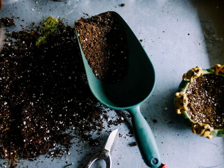 Jardinage​​​​‌﻿‍﻿​‍​‍‌‍﻿﻿‌﻿​‍‌‍‍‌‌‍‌﻿‌‍‍‌‌‍﻿‍​‍​‍​﻿‍‍​‍​‍‌﻿​﻿‌‍​‌‌‍﻿‍‌‍‍‌‌﻿‌​‌﻿‍‌​‍﻿‍‌‍‍‌‌‍﻿﻿​‍​‍​‍﻿​​‍​‍‌‍‍​‌﻿​‍‌‍‌‌‌‍‌‍​‍​‍​﻿‍‍​‍​‍​‍﻿﻿‌﻿​﻿‌﻿‌​‌﻿‌‌‌‍‌​‌‍‍‌‌‍﻿﻿​‍﻿﻿‌‍‍‌‌‍﻿‍‌﻿‌​‌‍‌‌‌‍﻿‍‌﻿‌​​‍﻿﻿‌‍‌‌‌‍‌​‌‍‍‌‌﻿‌​​‍﻿﻿‌‍﻿‌‌‍﻿﻿‌‍‌​‌‍‌‌​﻿﻿‌‌﻿​​‌﻿​‍‌‍‌‌‌﻿​﻿‌‍‌‌‌‍﻿‍‌﻿‌​‌‍​‌‌﻿‌​‌‍‍‌‌‍﻿﻿‌‍﻿‍​﻿‍﻿‌‍‍‌‌‍‌​​﻿﻿‌​﻿​‌​﻿​​‌‍​‌‌‍​‌​﻿​‍​﻿‍‌​﻿‌‍‌‍‌‍​‍﻿‌‌‍​‍​﻿‍​‌‍​﻿​﻿​​​‍﻿‌​﻿‌​‌‍​‌‌‍​‌​﻿​‍​‍﻿‌​﻿‍‌​﻿​﻿​﻿​‌‌‍‌‍​‍﻿‌‌‍‌‍​﻿​​​﻿‍‌​﻿‍‌​﻿‌﻿​﻿​‌‌‍​‌​﻿‌​​﻿‍‌‌‍​‌​﻿‍‌‌‍‌‌​﻿‍﻿‌﻿‌​‌﻿‍‌‌﻿​​‌‍‌‌​﻿﻿‌‌‍​﻿‌‍​‌‌﻿‌​‌‍‌‌‌‍‌﻿‌‍﻿﻿‌﻿​‍‌﻿‍‌​﻿‍﻿‌﻿​​‌‍​‌‌﻿‌​‌‍‍​​﻿﻿‌‌‍﻿‍‌‍​‌‌‍﻿‌‌‍‌‌​﻿﻿﻿‌‍​‍‌‍​‌‌﻿​﻿‌‍‌‌‌‌‌‌‌﻿​‍‌‍﻿​​﻿﻿‌​‍‌‌​﻿​‍‌​‌‍‌﻿​﻿‌﻿‌​‌﻿‌‌‌‍‌​‌‍‍‌‌‍﻿﻿​‍‌‍‌‍‍‌‌‍‌​​﻿﻿‌​﻿​‌​﻿​​‌‍​‌‌‍​‌​﻿​‍​﻿‍‌​﻿‌‍‌‍‌‍​‍﻿‌‌‍​‍​﻿‍​‌‍​﻿​﻿​​​‍﻿‌​﻿‌​‌‍​‌‌‍​‌​﻿​‍​‍﻿‌​﻿‍‌​﻿​﻿​﻿​‌‌‍‌‍​‍﻿‌‌‍‌‍​﻿​​​﻿‍‌​﻿‍‌​﻿‌﻿​﻿​‌‌‍​‌​﻿‌​​﻿‍‌‌‍​‌​﻿‍‌‌‍‌‌​‍‌‍‌﻿‌​‌﻿‍‌‌﻿​​‌‍‌‌​﻿﻿‌‌‍​﻿‌‍​‌‌﻿‌​‌‍‌‌‌‍‌﻿‌‍﻿﻿‌﻿​‍‌﻿‍‌​‍‌‍‌﻿​​‌‍​‌‌﻿‌​‌‍‍​​﻿﻿‌‌‍﻿‍‌‍​‌‌‍﻿‌‌‍‌‌​‍‌‍‌﻿​​‌‍‌‌‌﻿​‍‌﻿​﻿‌﻿​​‌‍‌‌‌‍​﻿‌﻿‌​‌‍‍‌‌﻿‌‍‌‍‌‌​﻿﻿‌‌﻿​​‌﻿‌‌‌‍​‍‌‍﻿​‌‍‍‌‌﻿​﻿‌‍‍​‌‍‌‌‌‍‌​​‍​‍‌﻿﻿‌