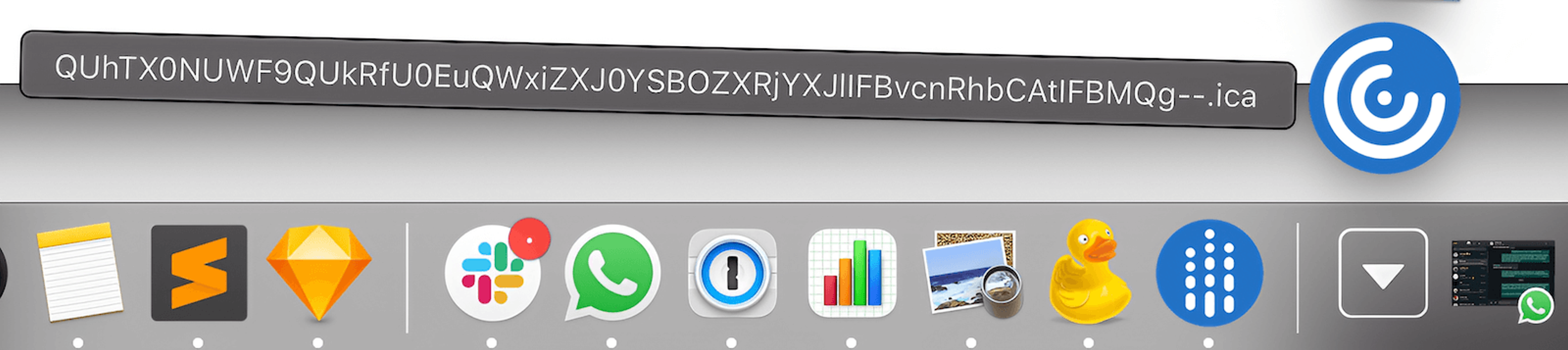 Mac icons below a downloaded .ica file