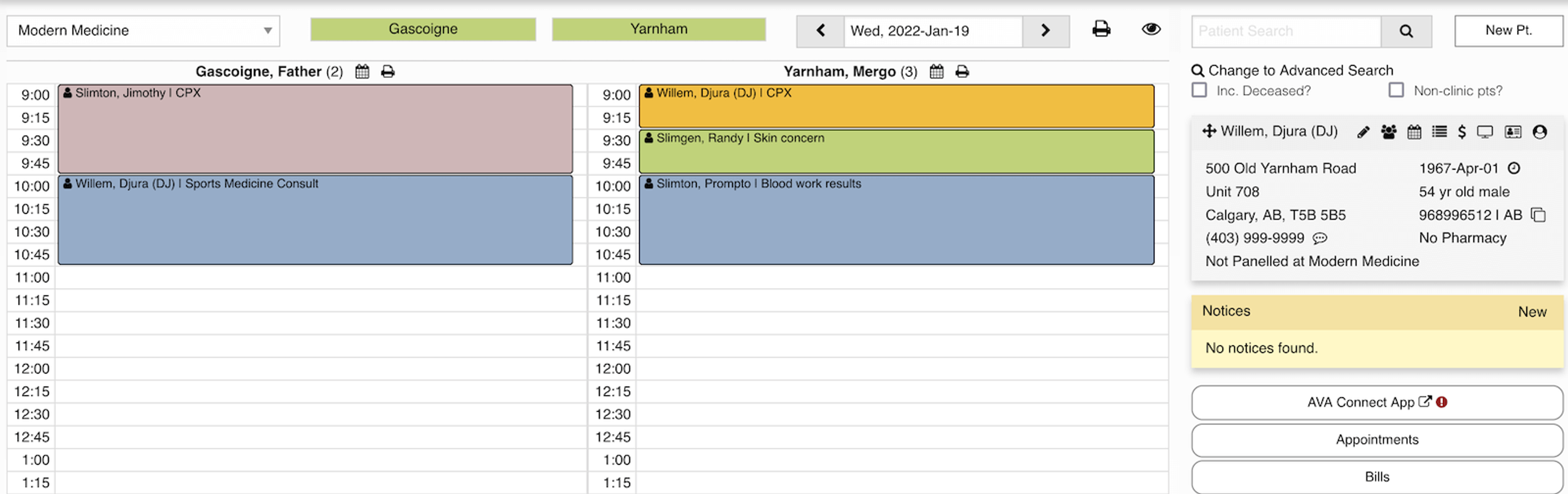 Spreadsheet view of two practitioners and their respective patients.