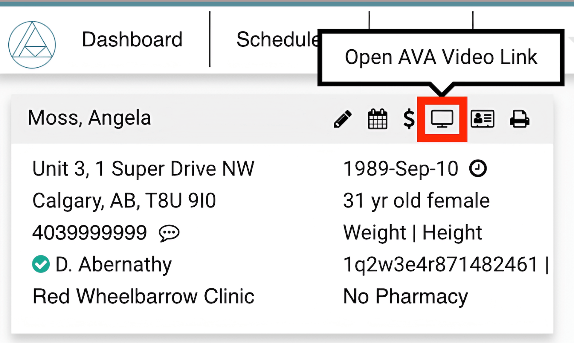 Ava dashboard with a highlighted square around the 'Open Ava Video Link' icon button.