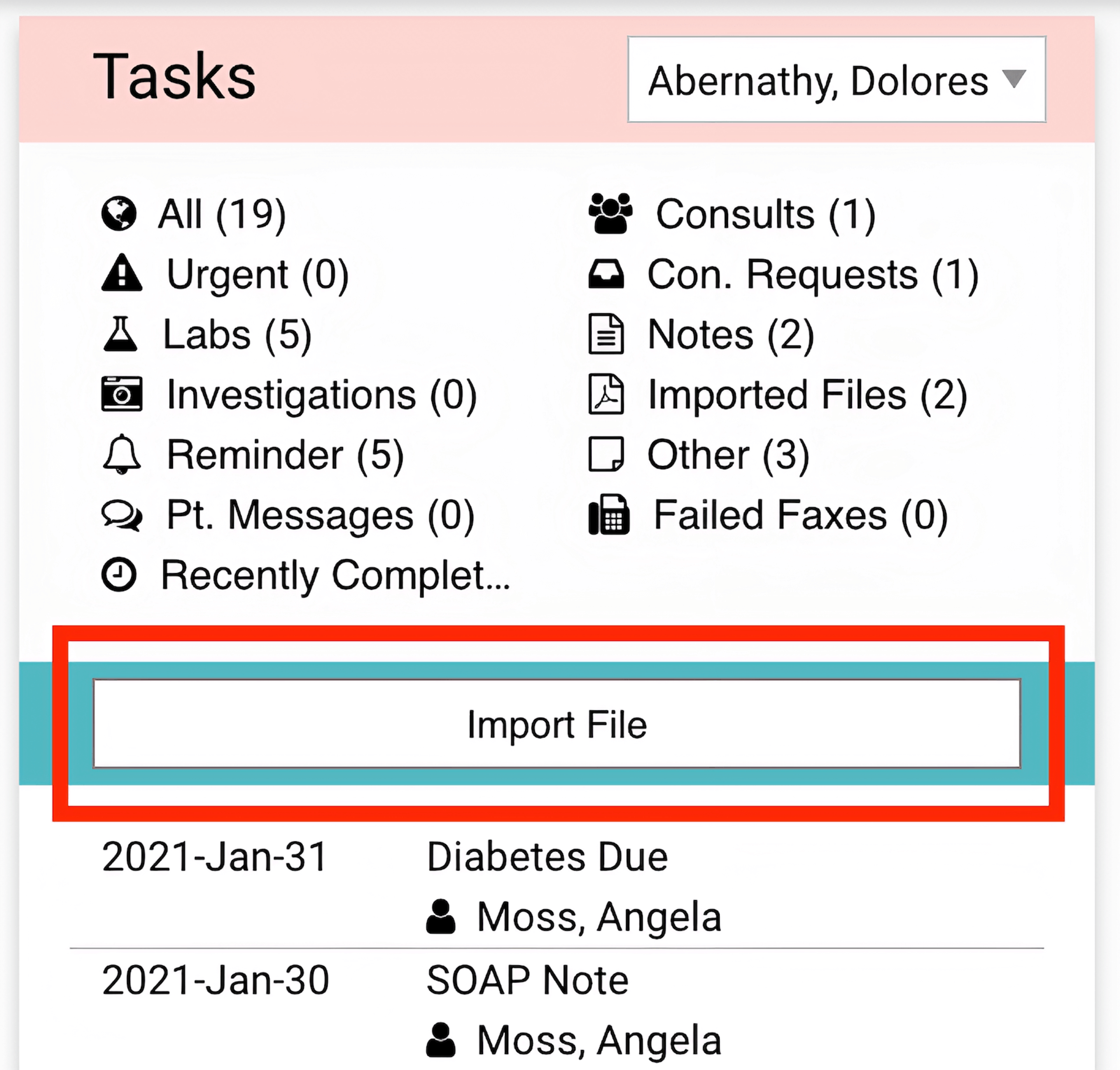 Task workspace for a patient, with the 'Import File' button highlighted in red.