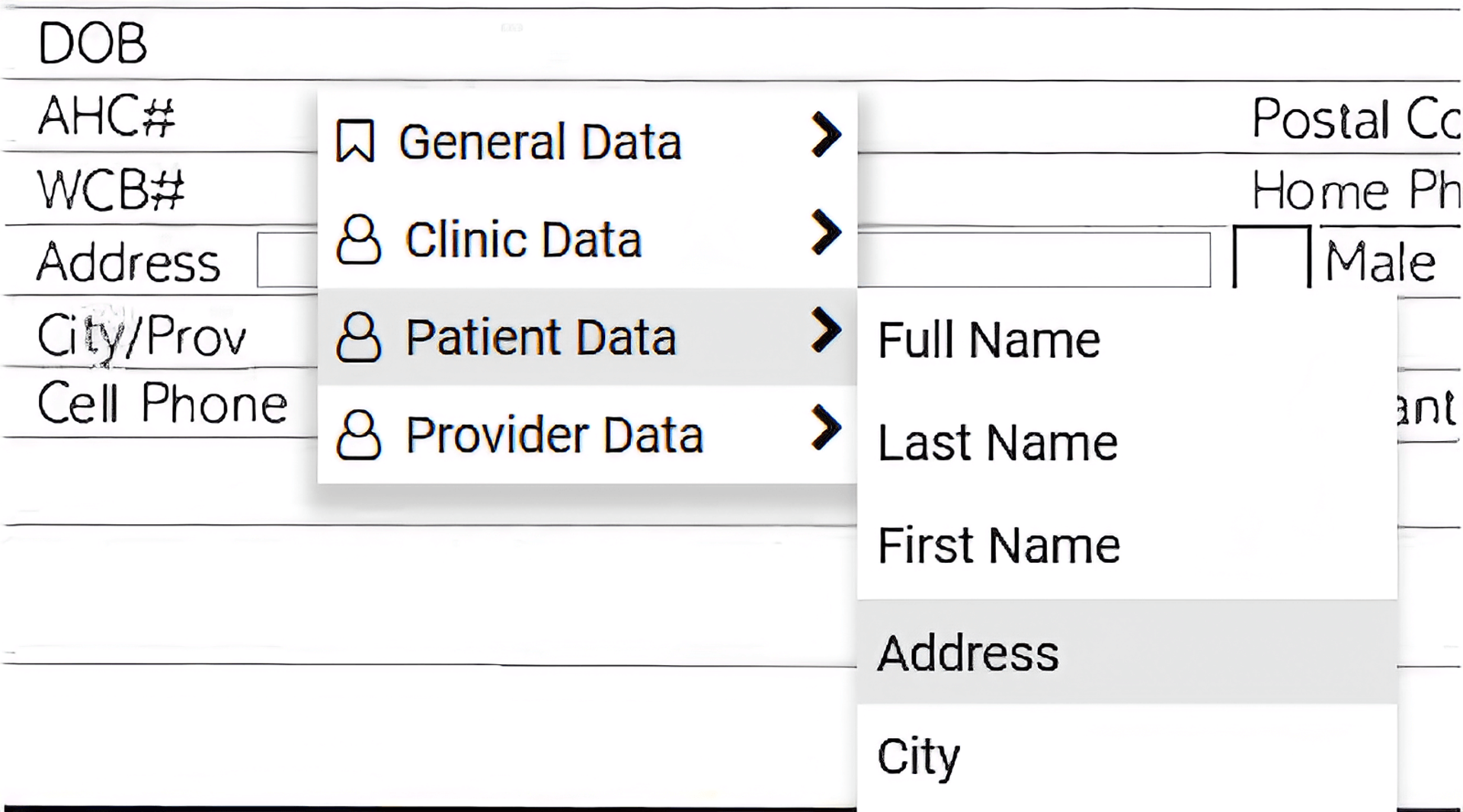 Patient Data dropdown open, displaying the options: Full Name, Last Name, First Name, Address, and City.
