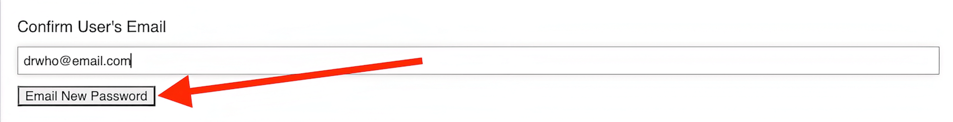 A form labeled 'Confirm User's Email' with a red arrow pointing at the 'Email New Password' button