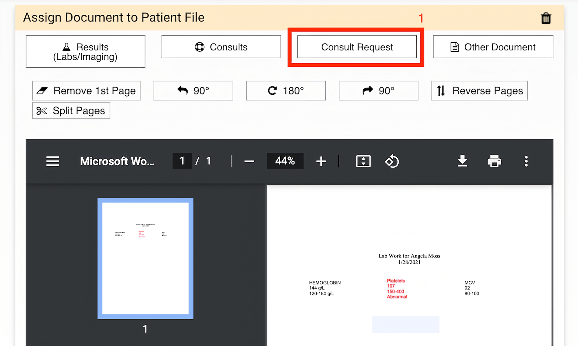 Assign Document to Patient File workspace with 'Consult Request' highlighted in red.